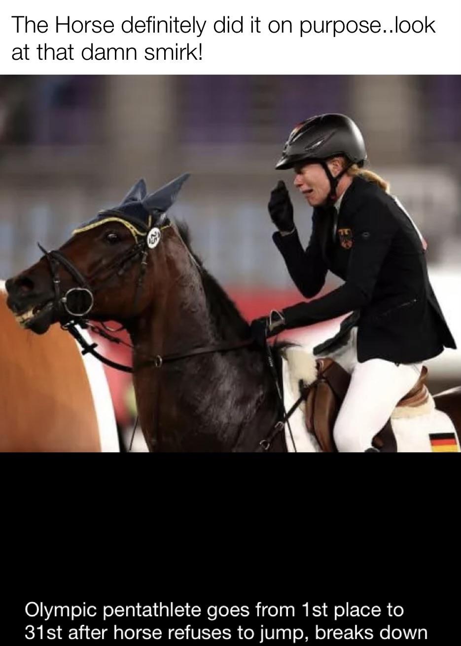 Horse Glue Meme Captions Pages