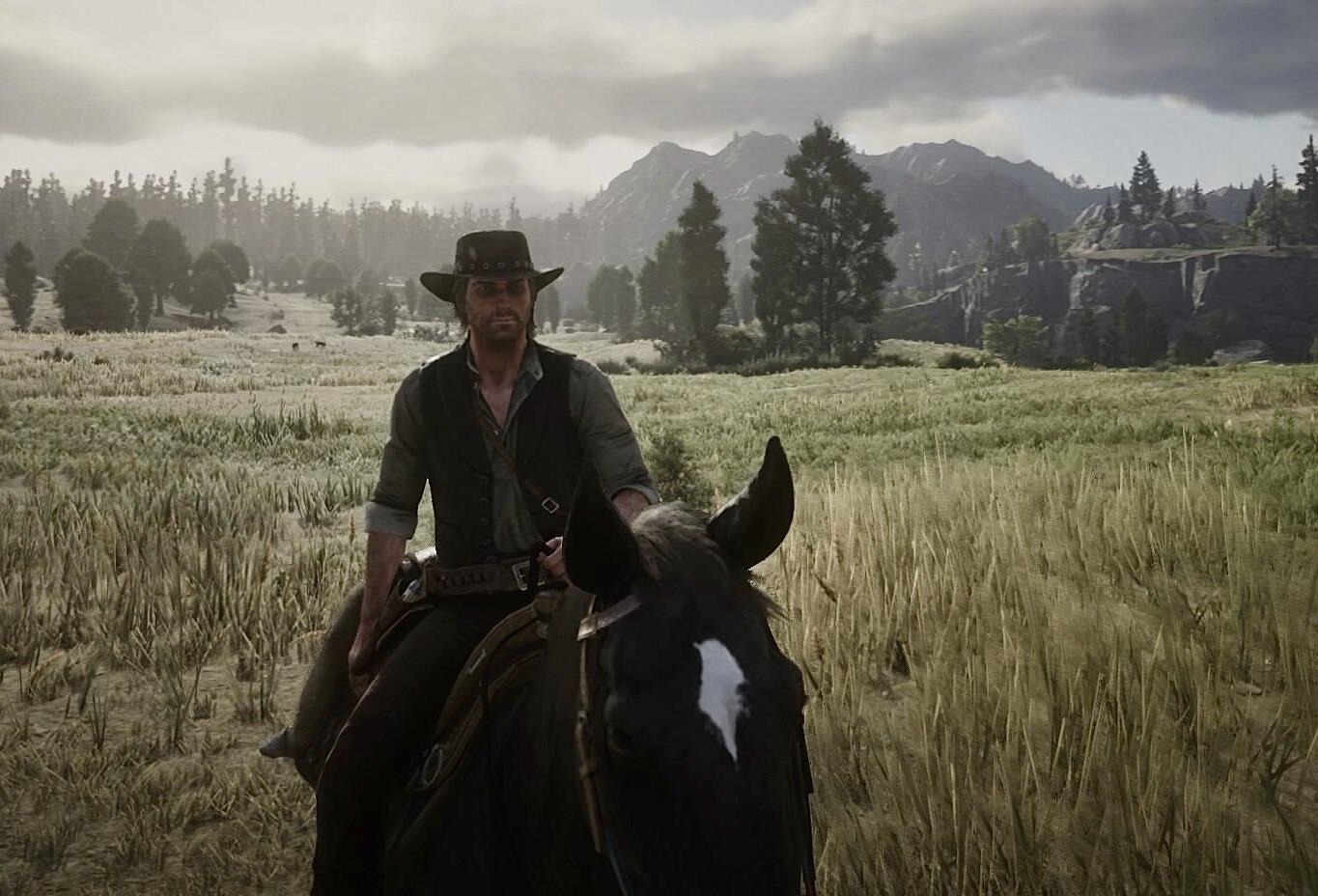 My name is John Marston r/RDR2