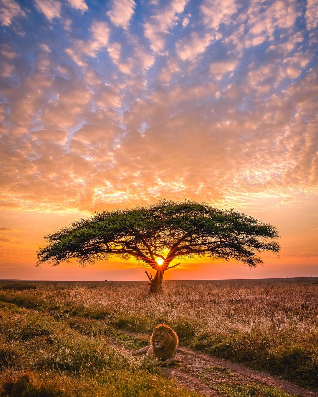 Sunrise in Africa. r/pics