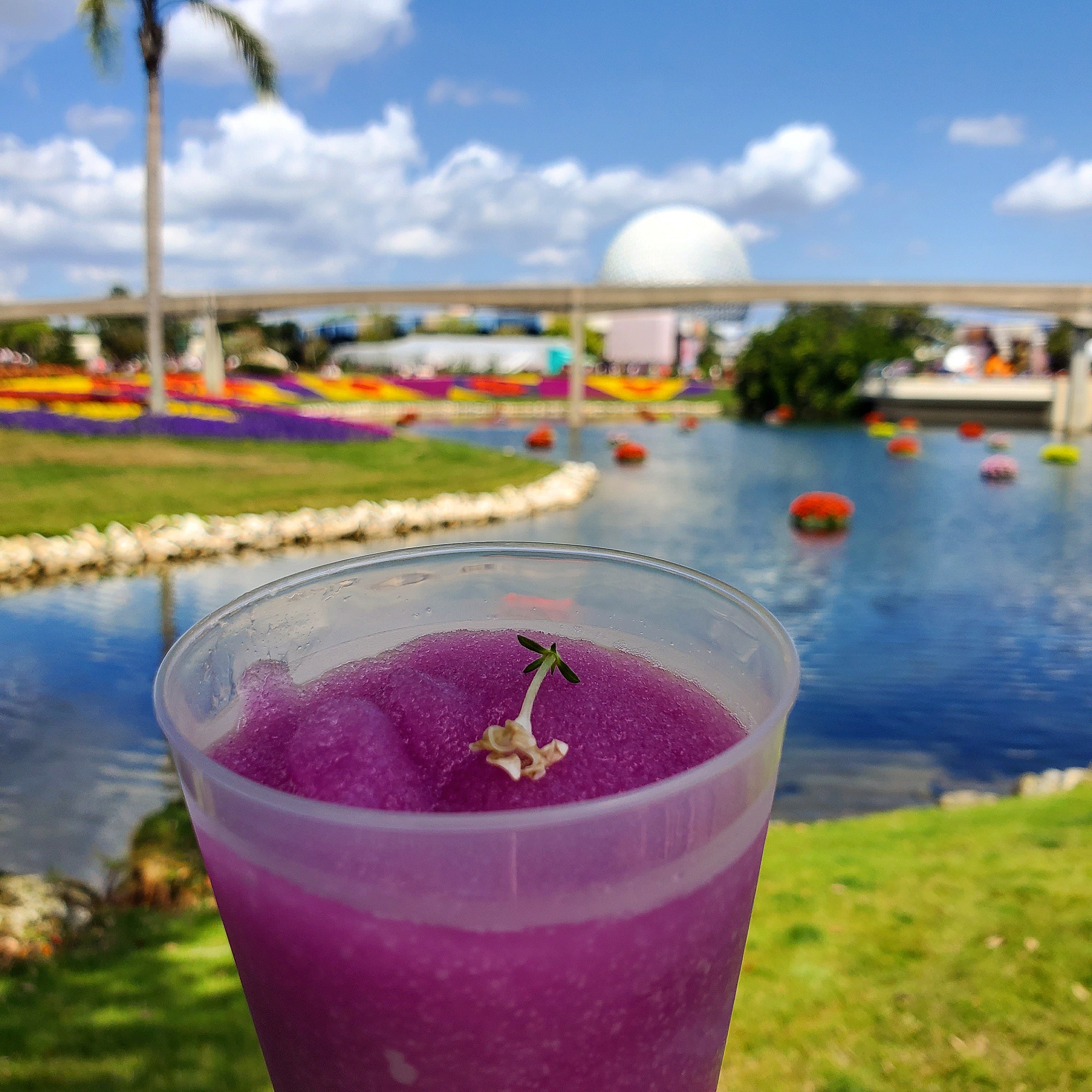 Insert Generic Violet Lemonade Epcot Photo Caption Here r/WaltDisneyWorld