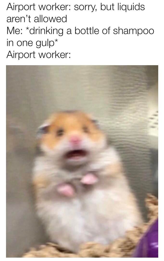 Tastes just like Bang energy drinks r/memes