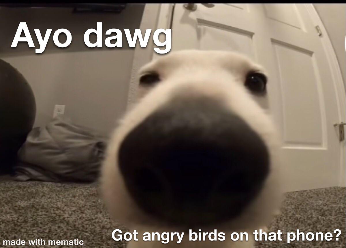 Game Dog Game Dog r/memes
