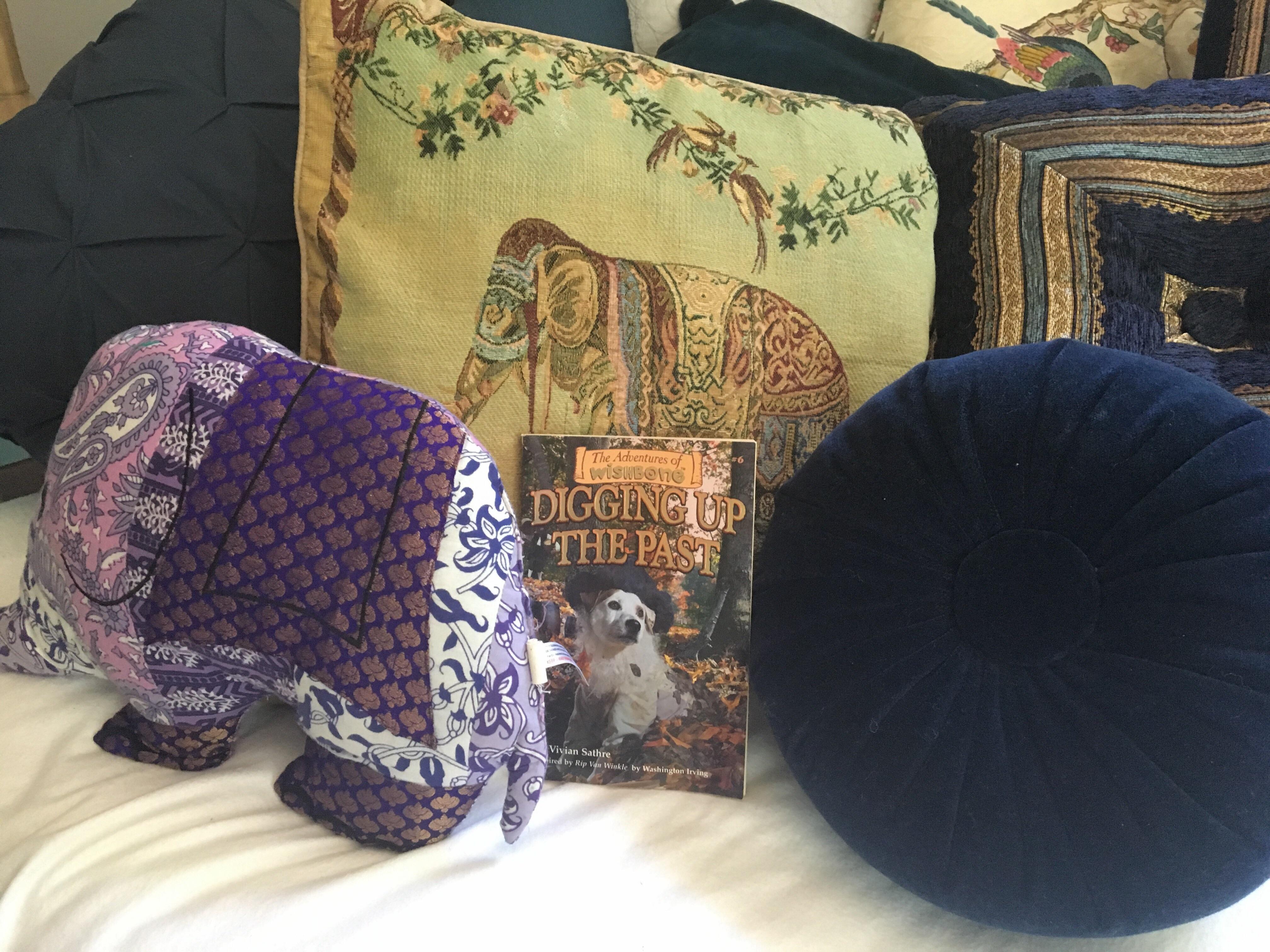 An Assortment of Throw Pillows & a Book to Read for My Daybed (15