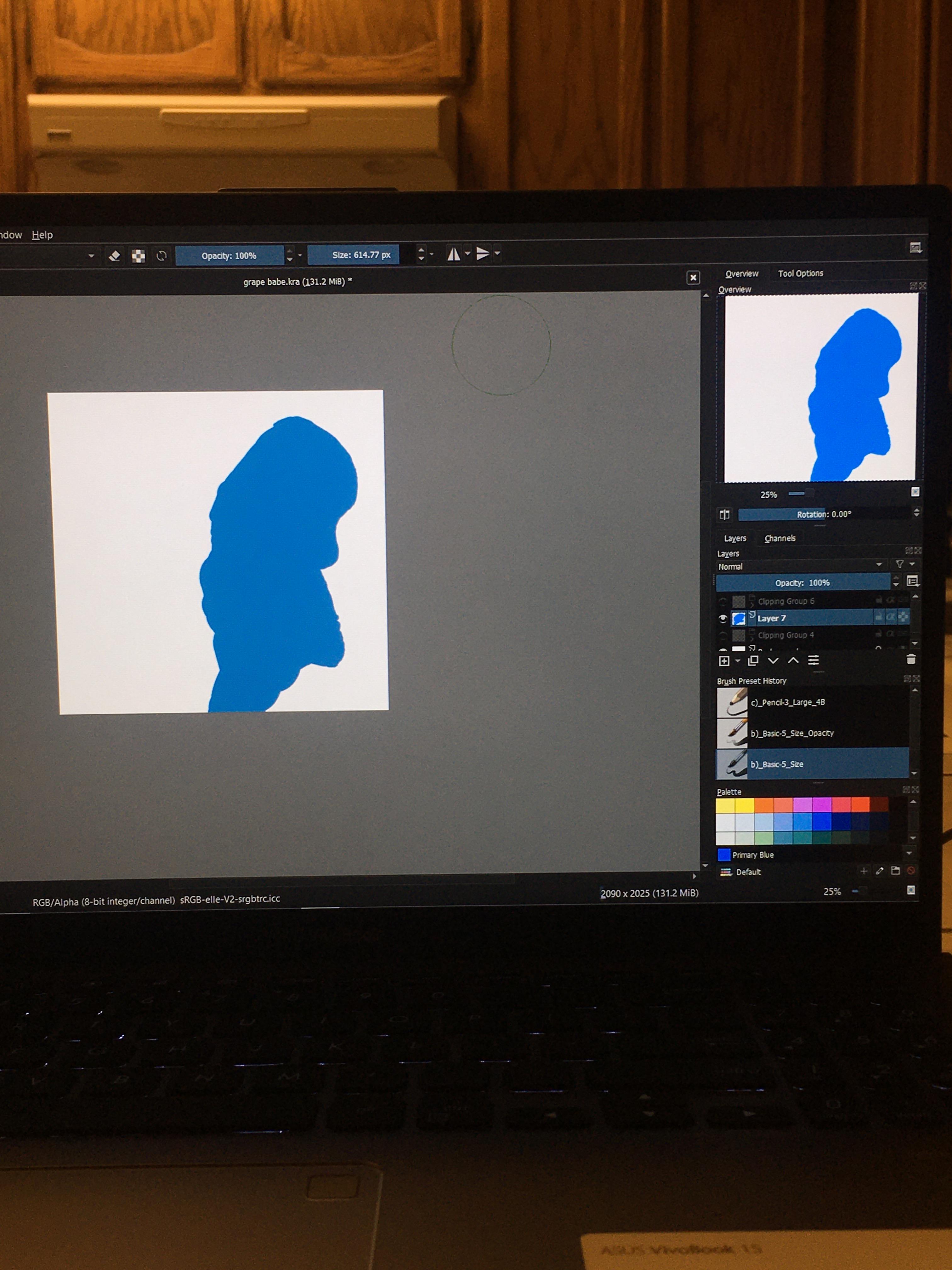Canvas Not Matching Overview The colors are much duller on canvas than