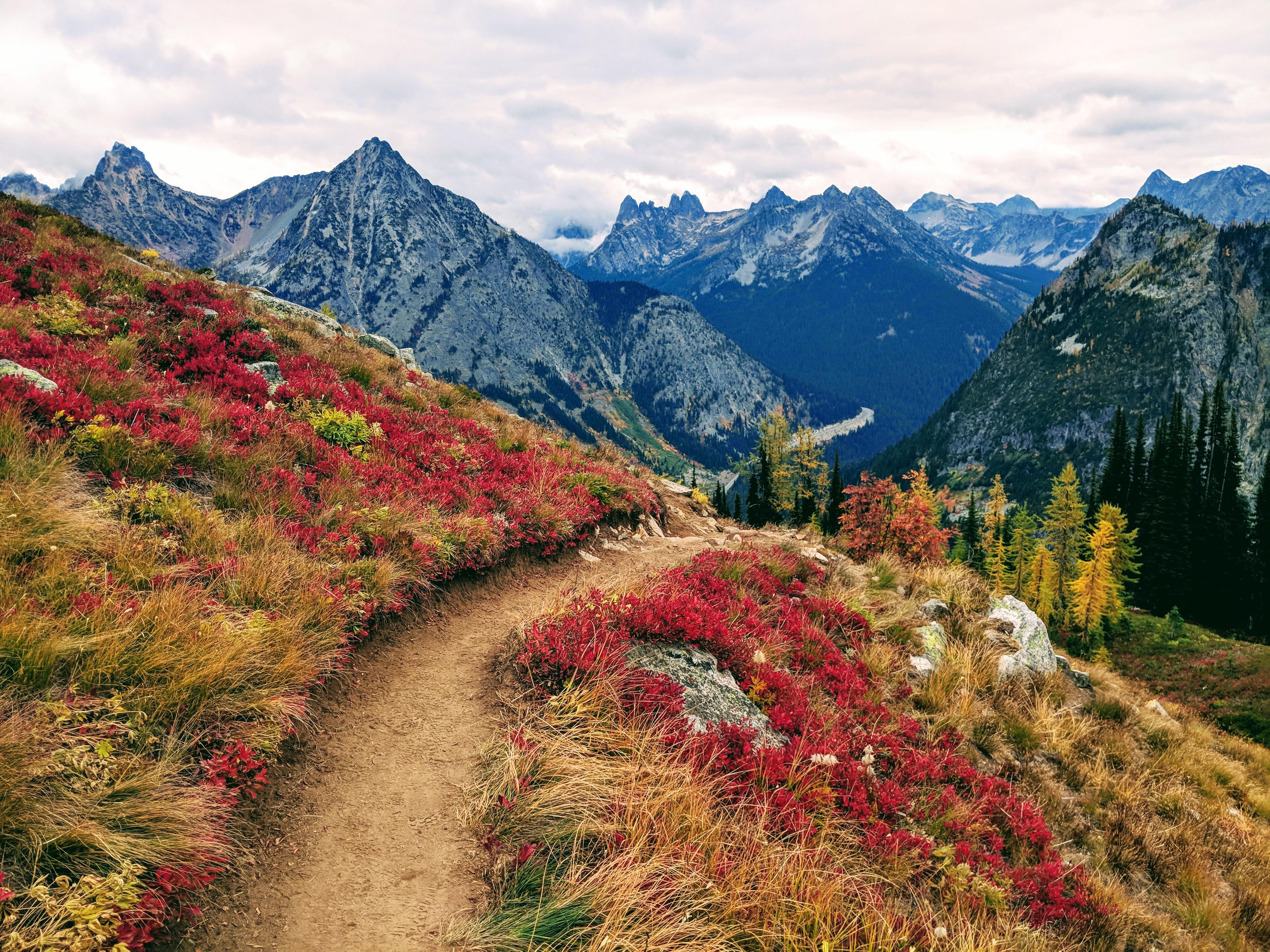 Fall colors on full display during North Cascades run today r