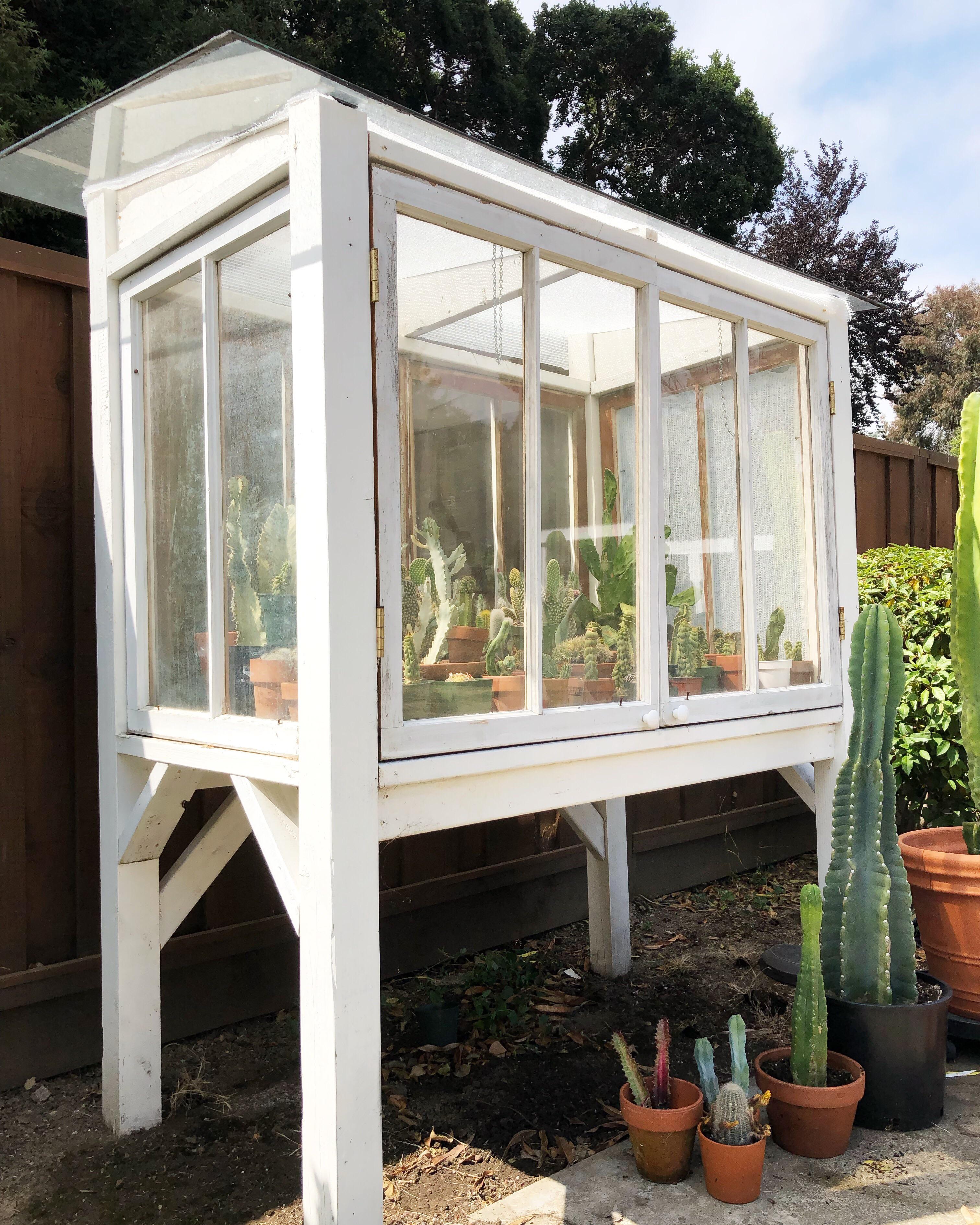 Our greenhouse for Cacti. r/succulents