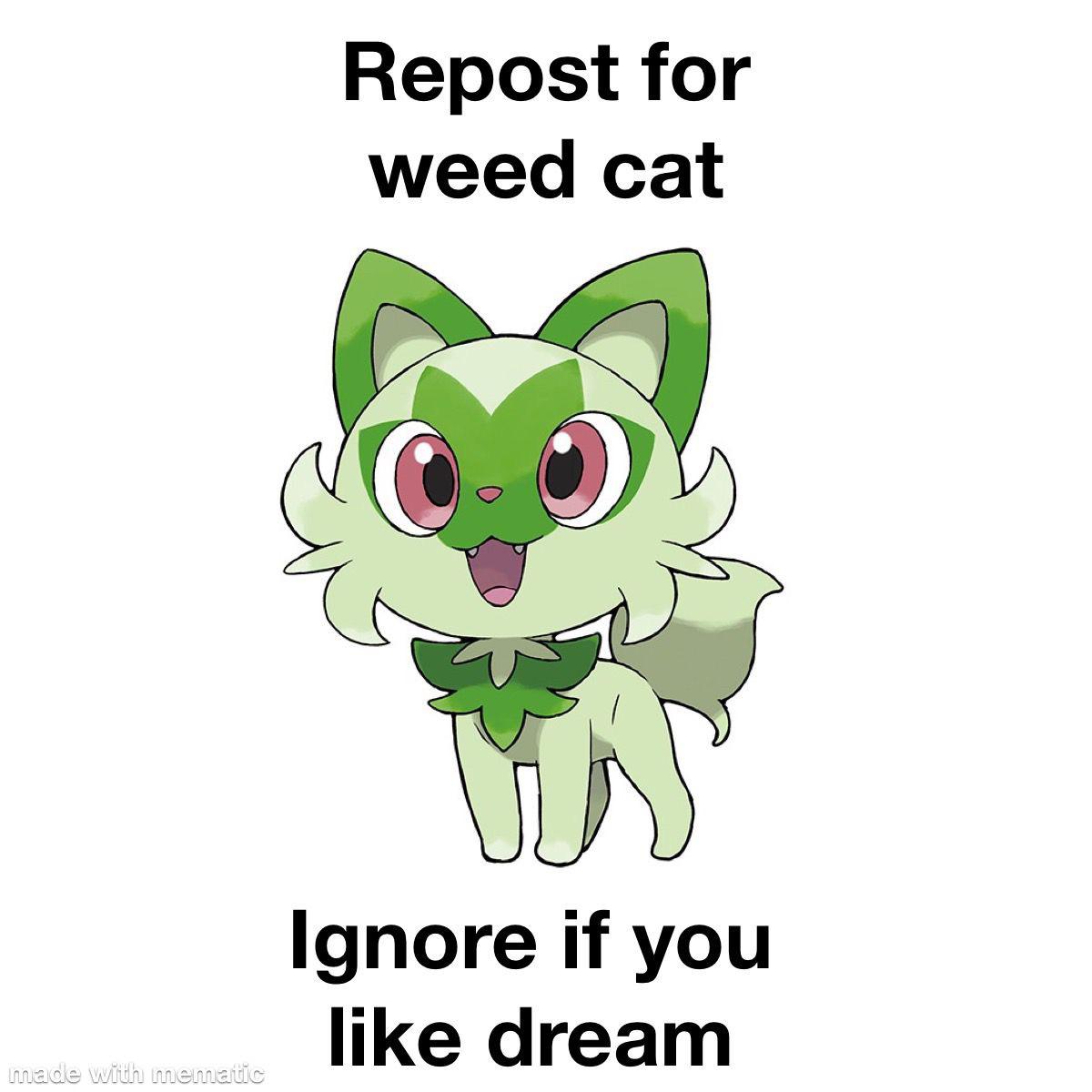 Weed cat pokemon