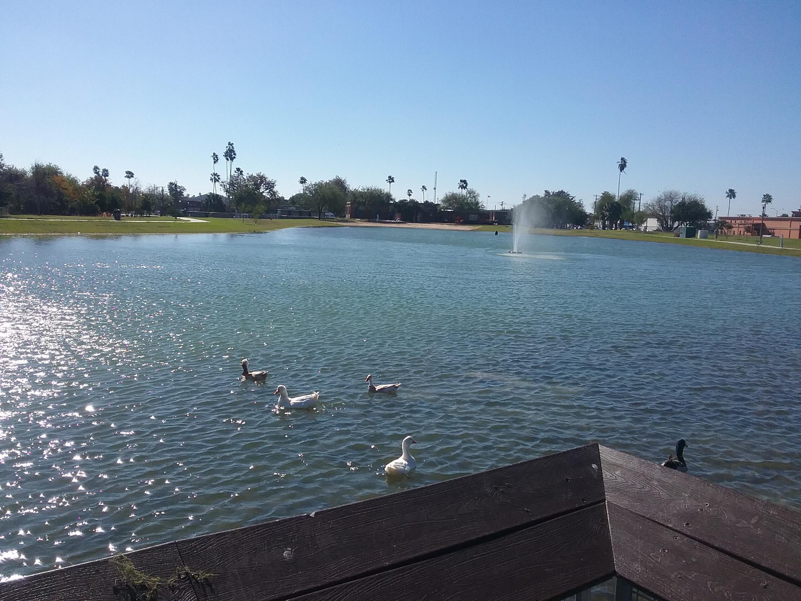 McAllen, Texas r/texas