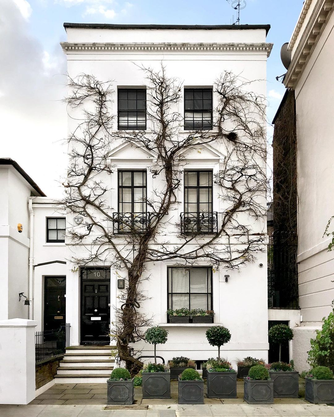 This House Covered With Wisteria Vines In London, England r