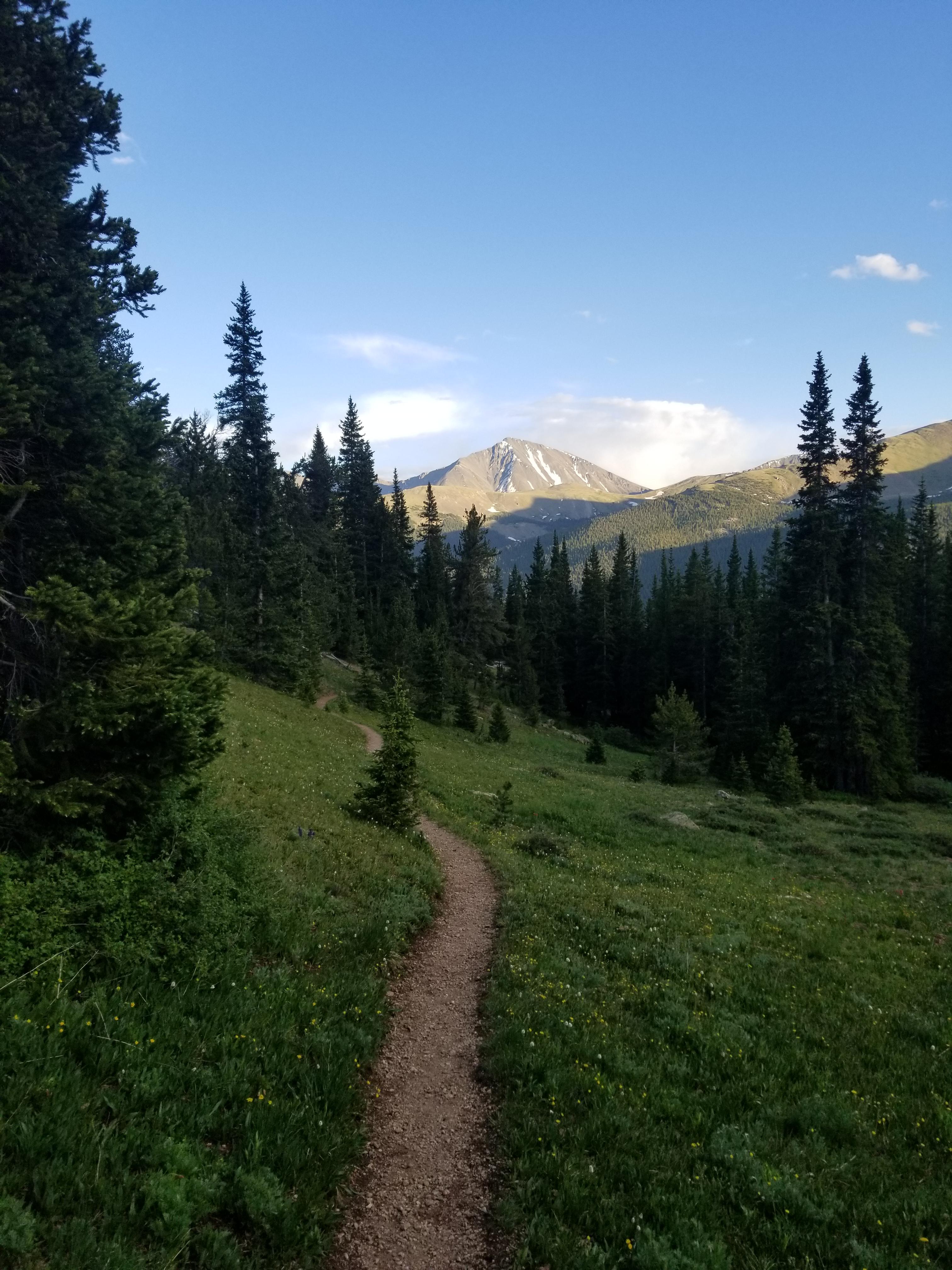 Watrous Gulch Trail CO [OC] 4032x3024 r/EarthPorn