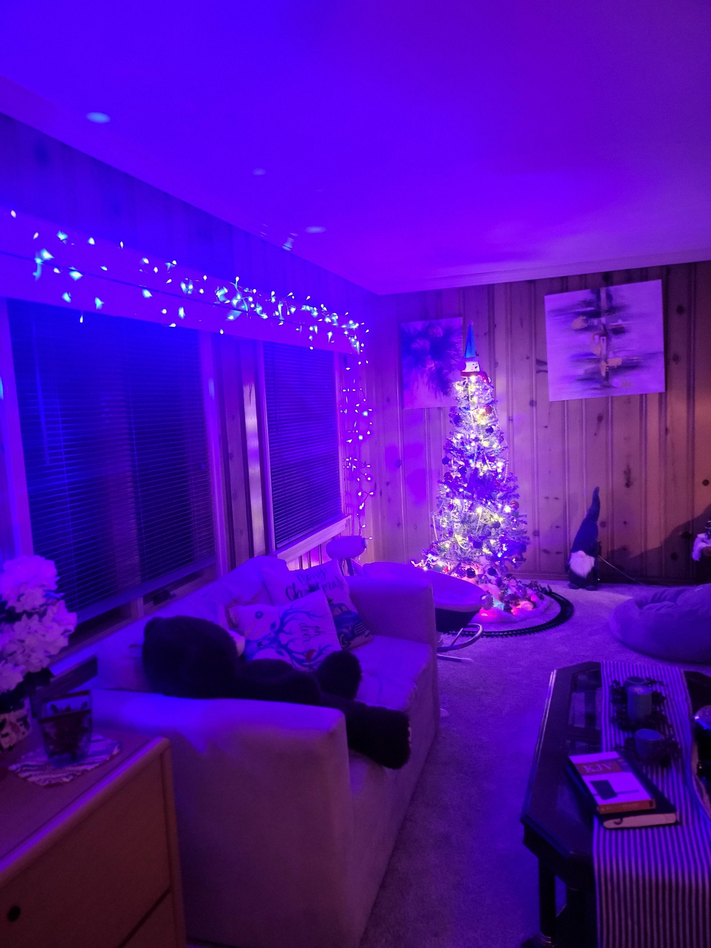Blue Room r/myholidays2023
