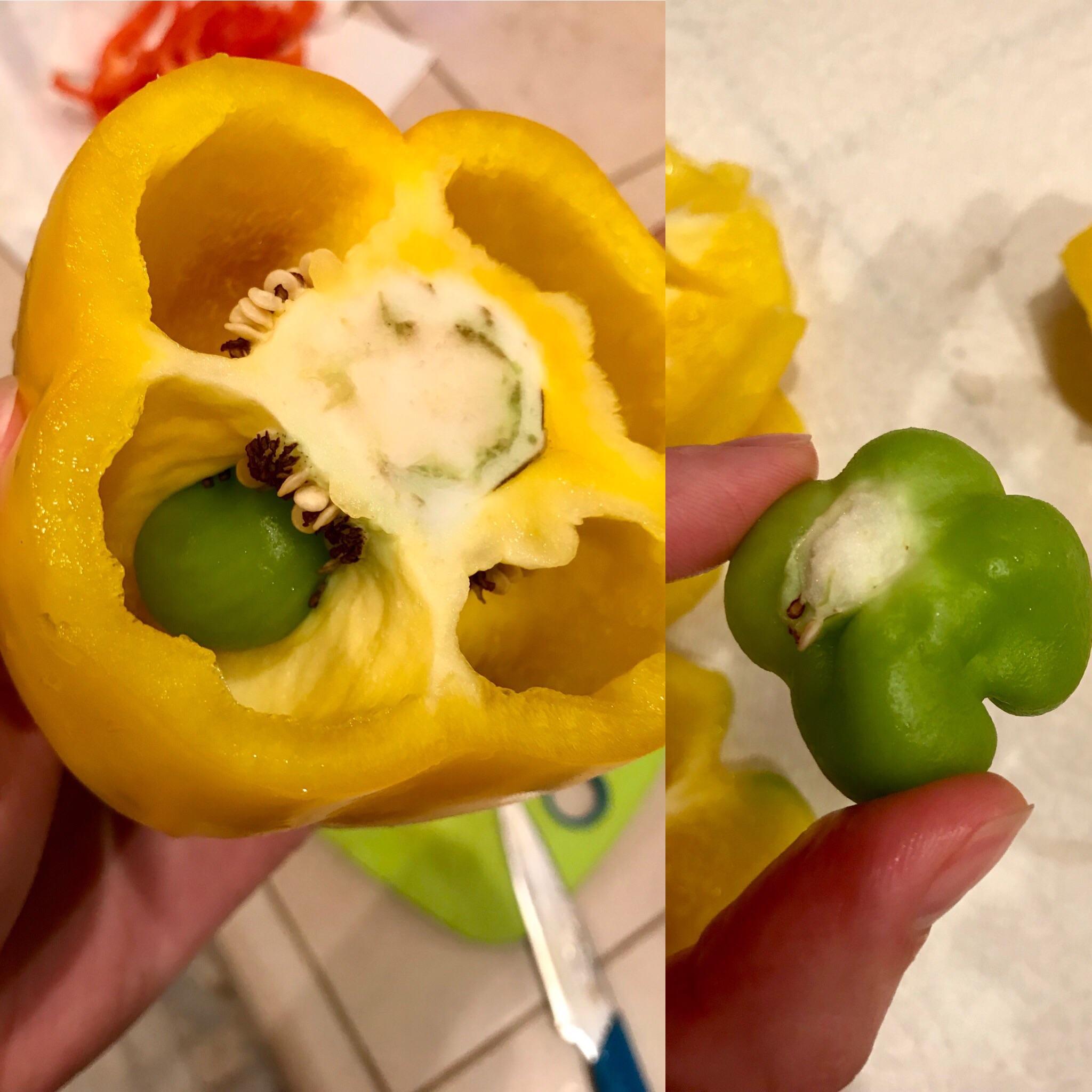 My yellow bell pepper had a small green bell pepper growing inside it