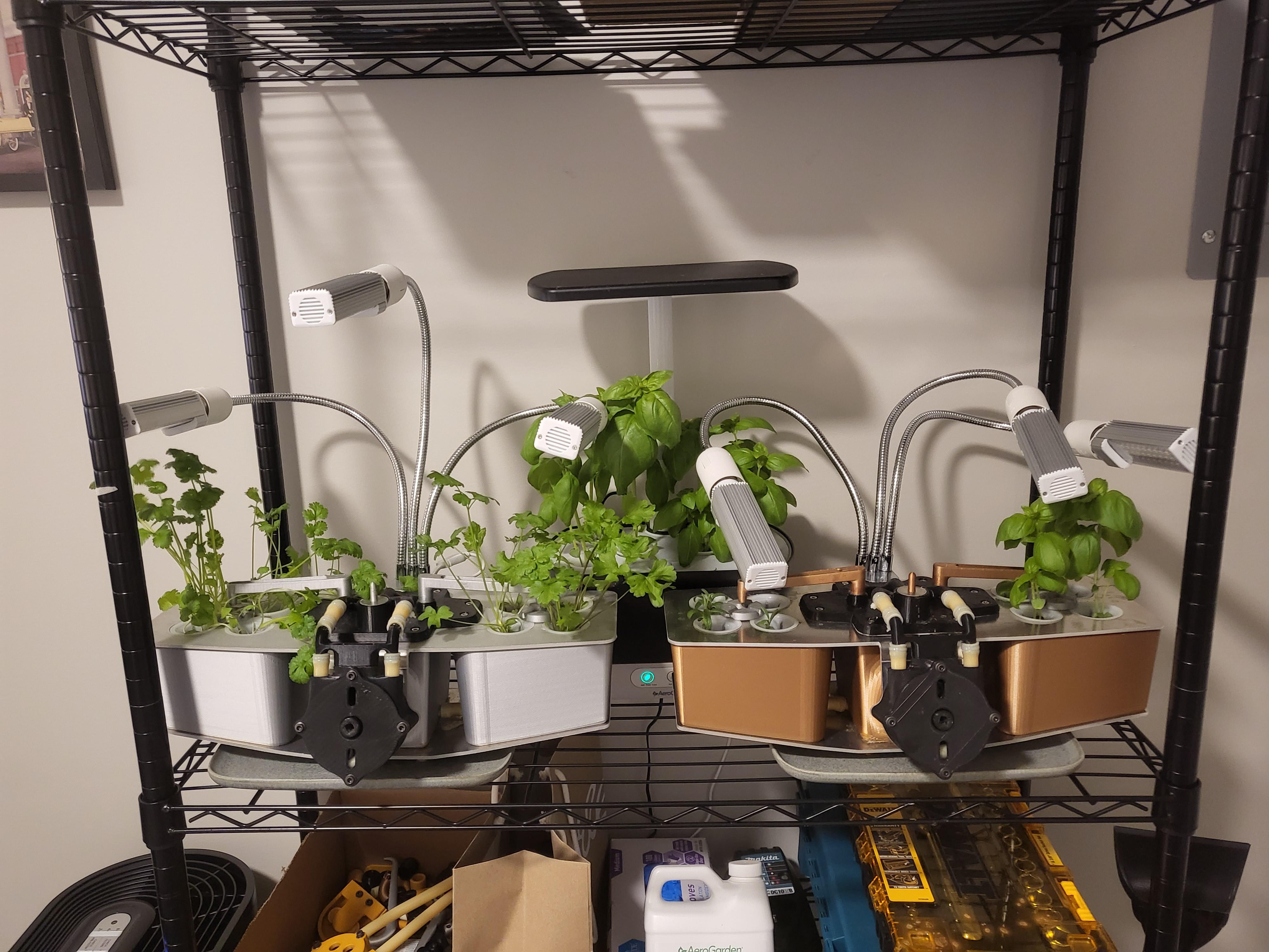 my two custom machines growing a variety of herbs alongside my old