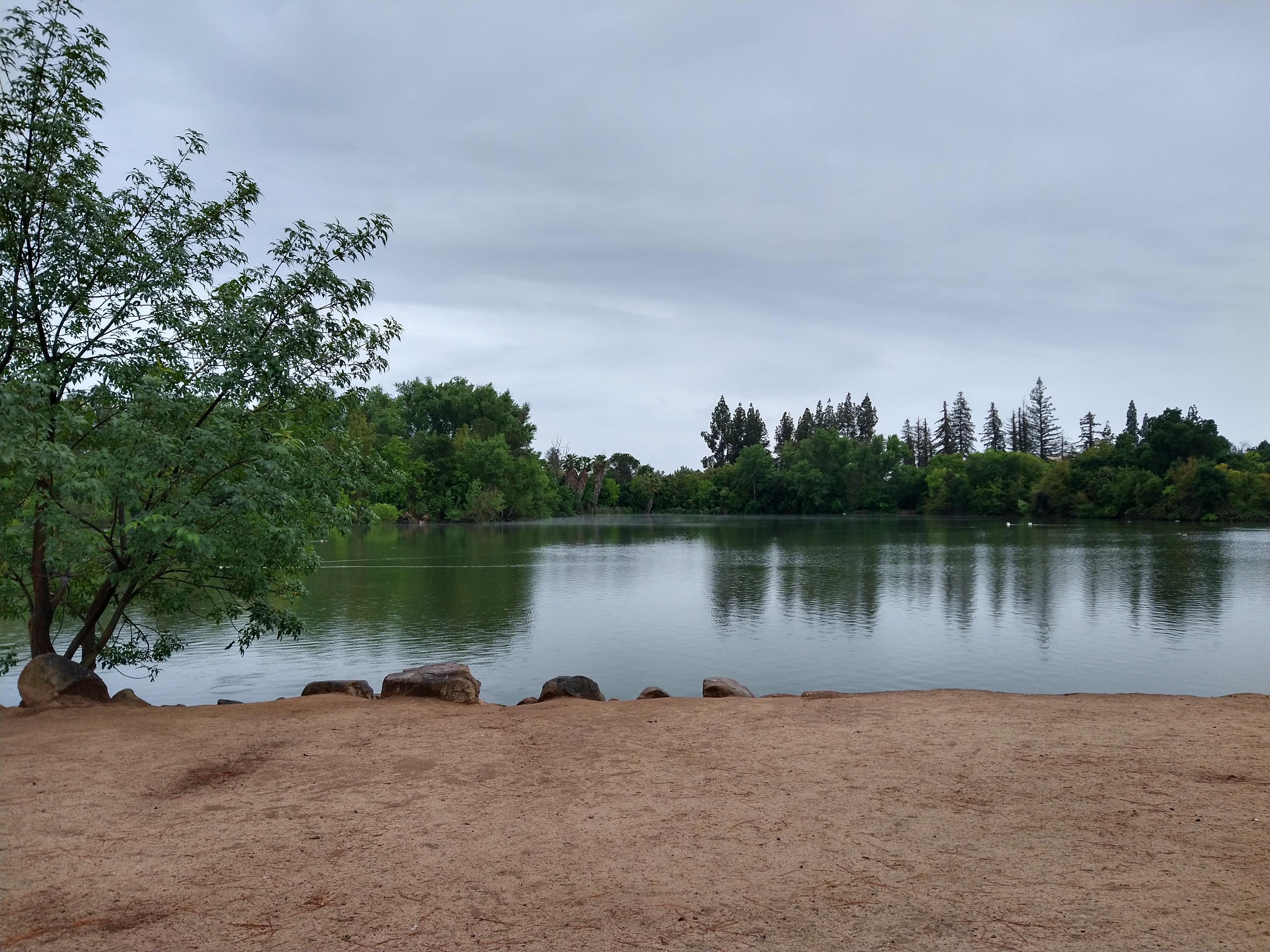 Woodward park is pretty during the warm spring rain ) fresno