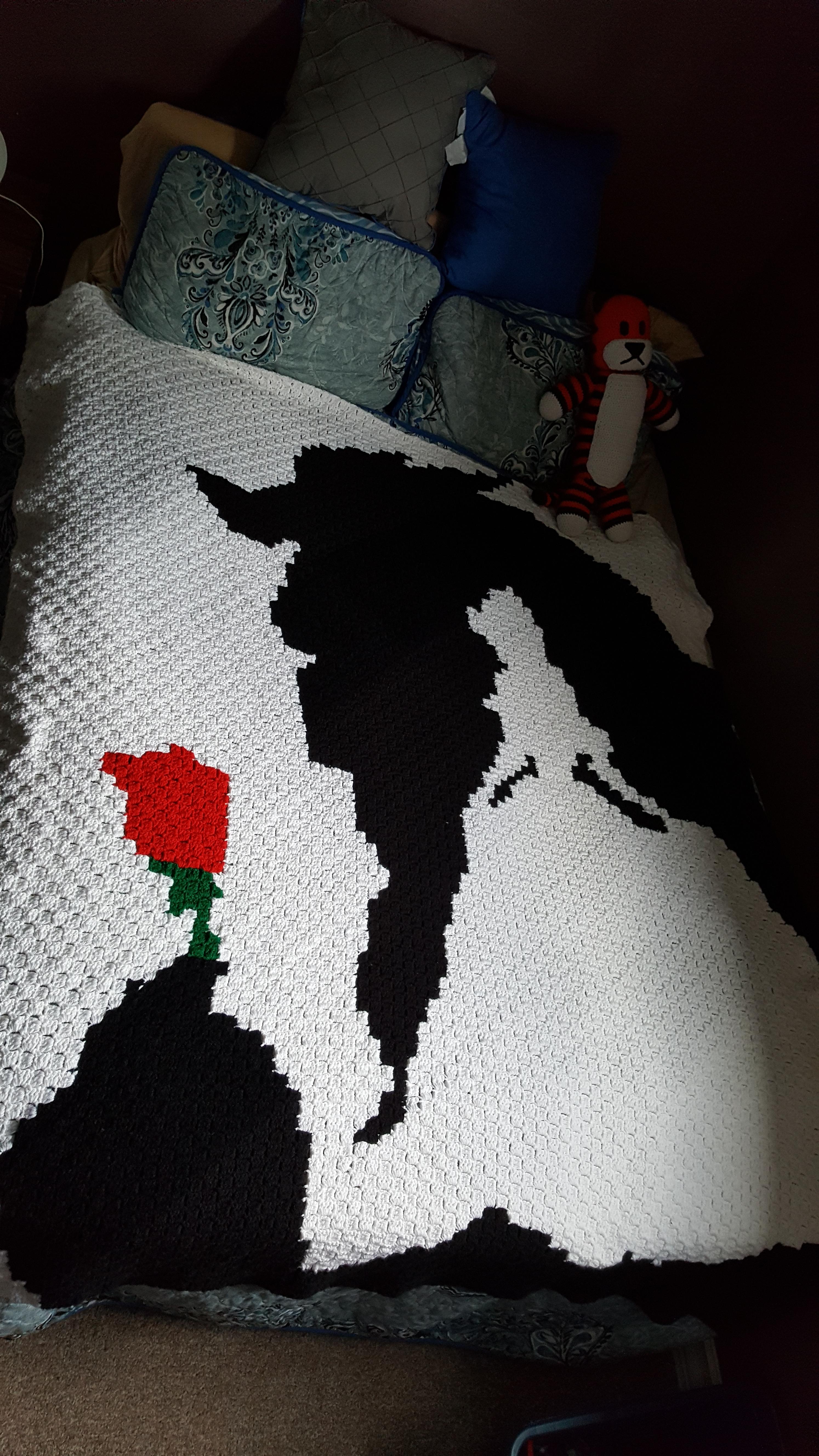 My First ever Queen sized blanket. Took months of work, but so worth it