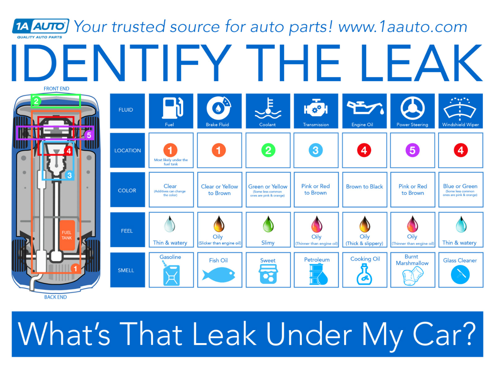 Help yourself identify the leak under your vehicle with this simple