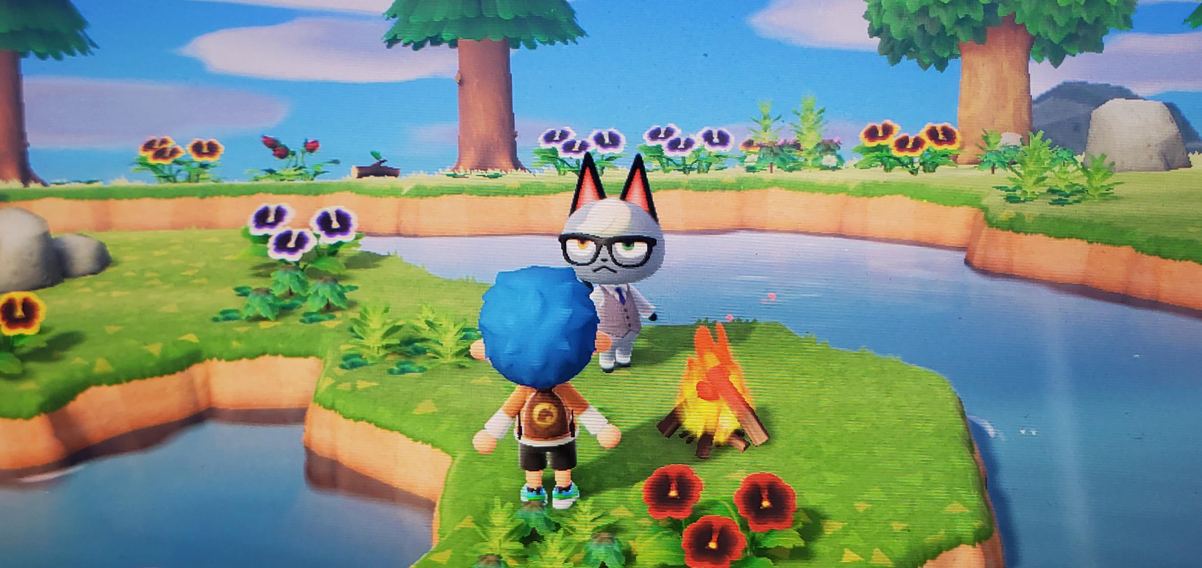 Only took like 5 mystery islands to find him! r/AnimalCrossing