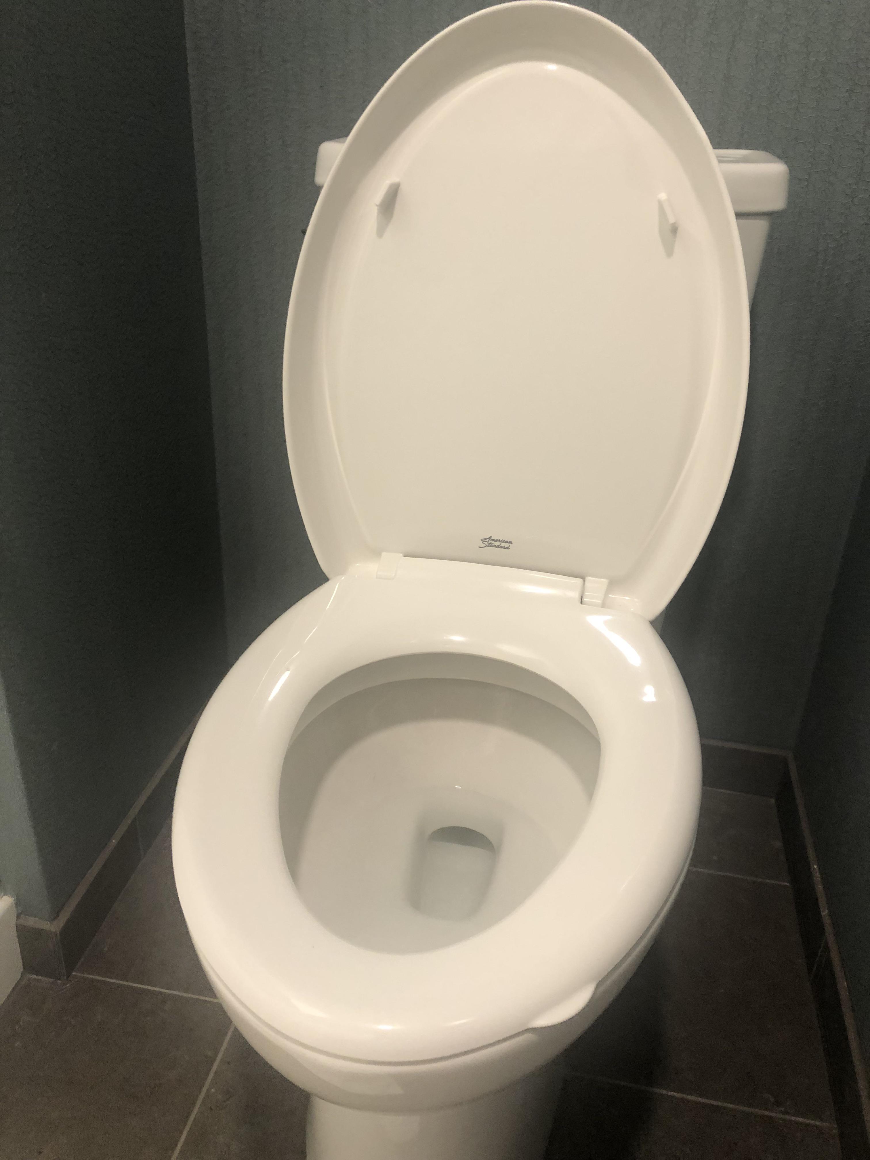 My hotel room’s toilet seat has a small handle for easy lifting. r/mildlyinteresting