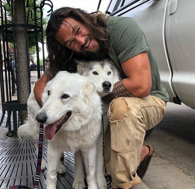I feel like everyone needs to see Jason Momoa hugging these doggos r/aww
