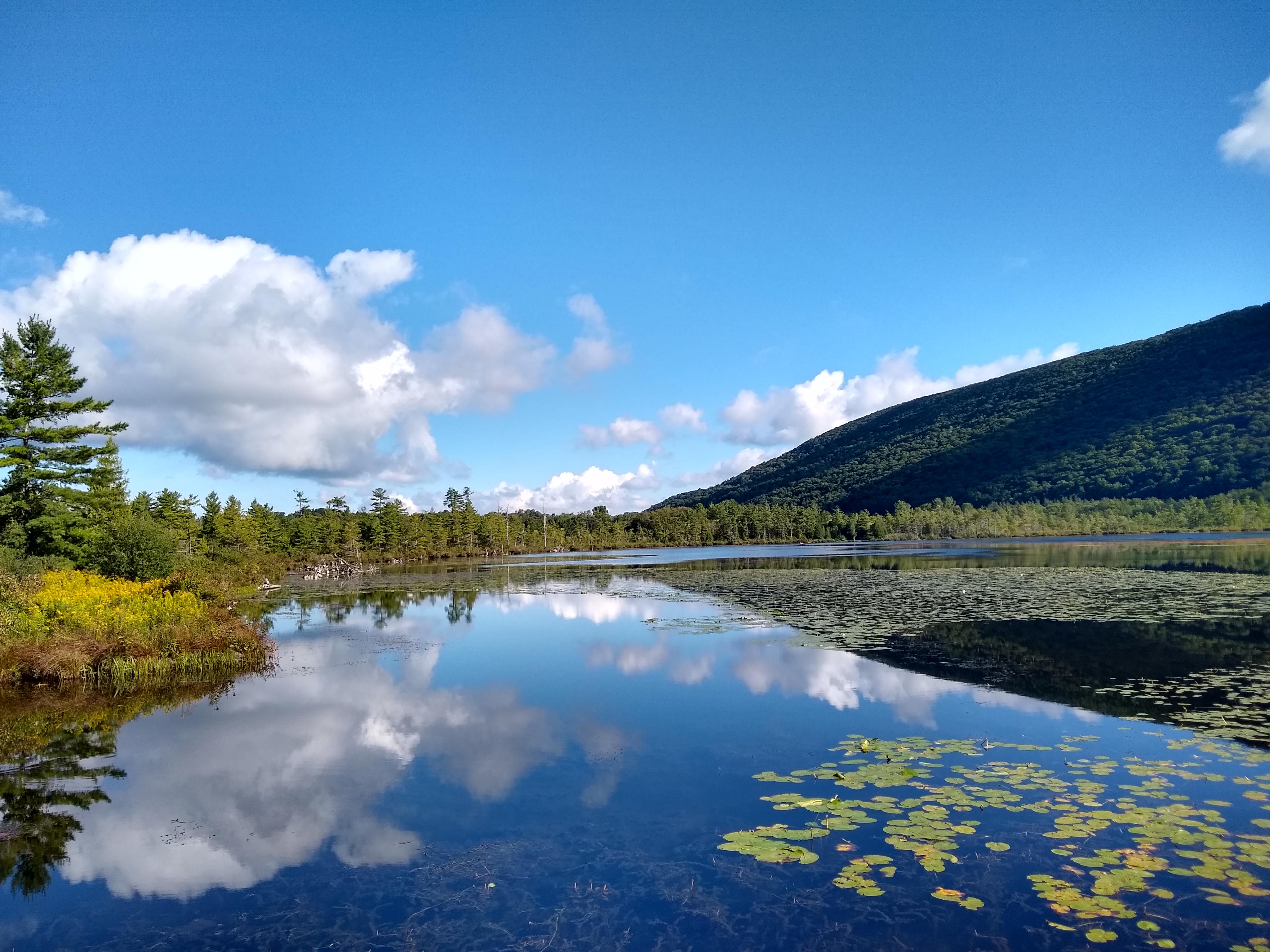 Labrador Hollow Unique Area (Tully, NY 30 min south of Syracuse) r