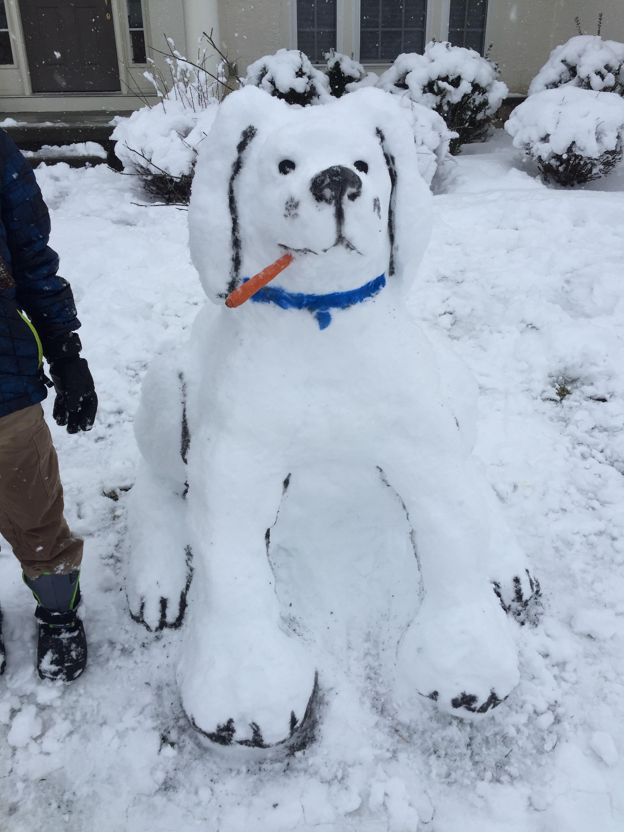 Fun in the snow today.... my snowdog creation! r/Delaware