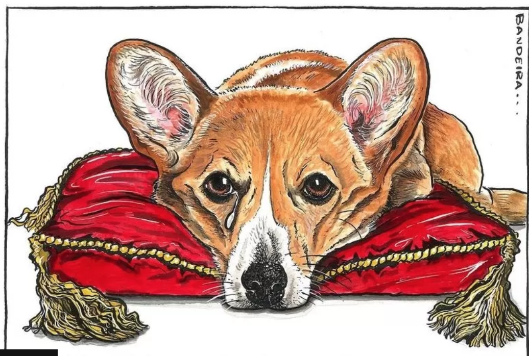 Heartbreaking illustration of Queen's learning his new master is