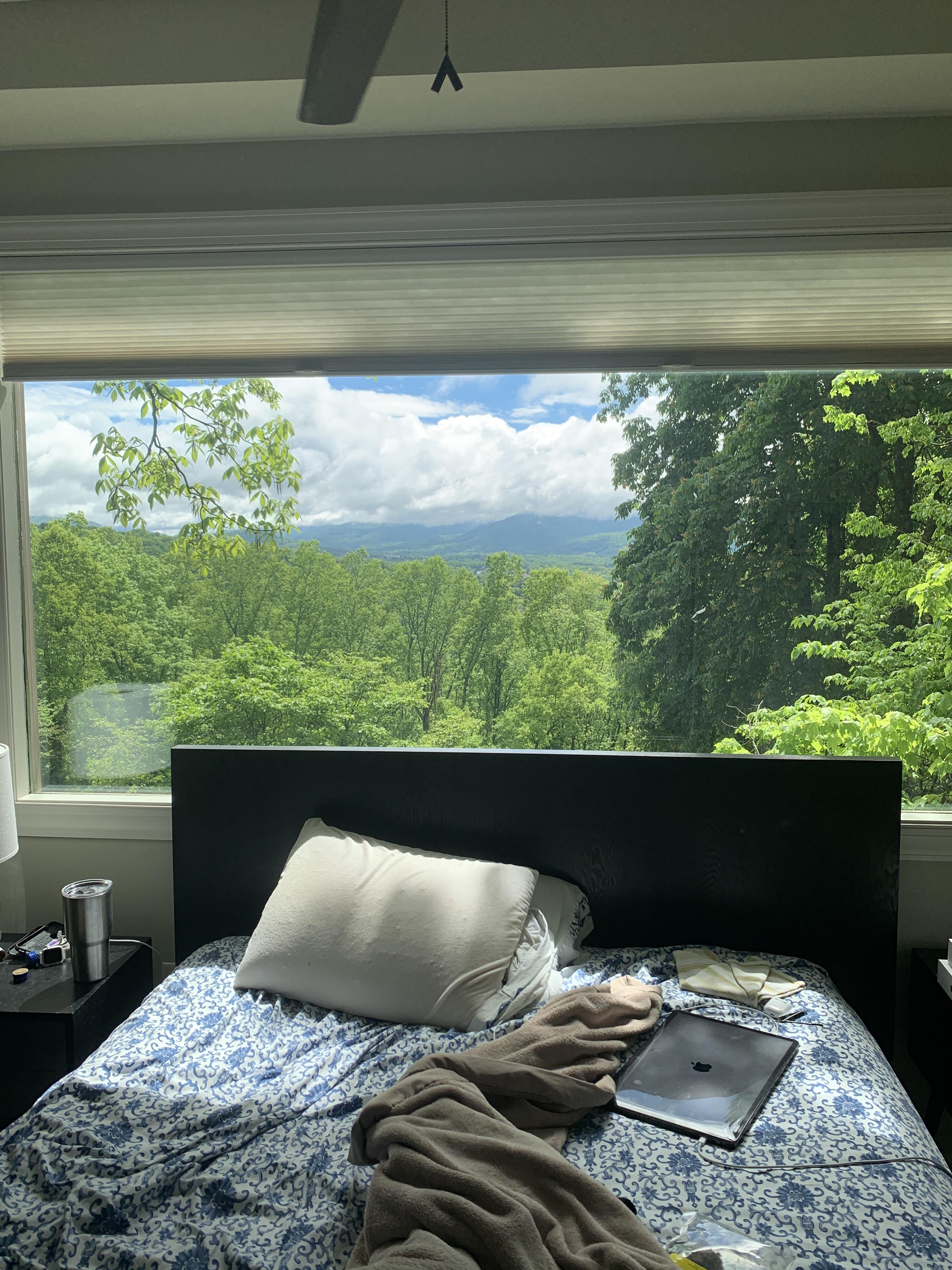 My bed in Asheville, NC CozyPlaces