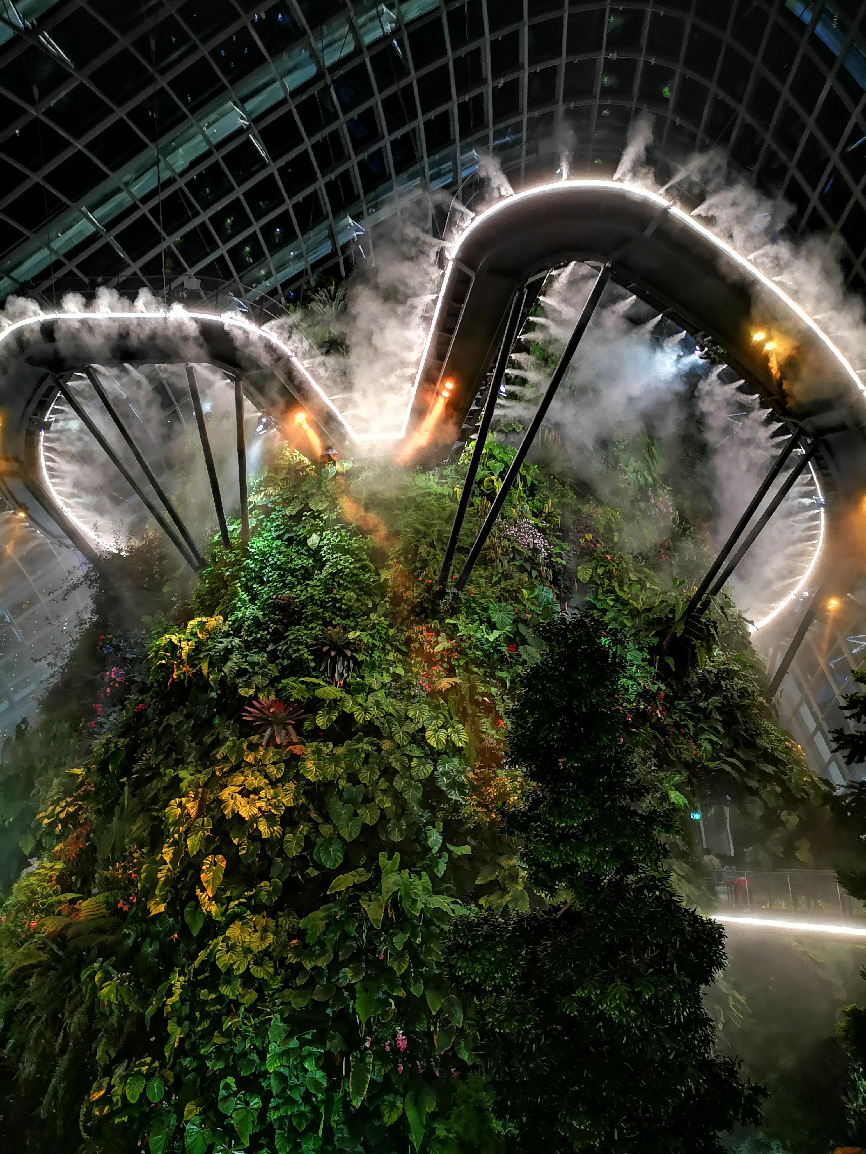 A night picture of Cloud Forest at Gardens by the Bay, Singapore r/pics