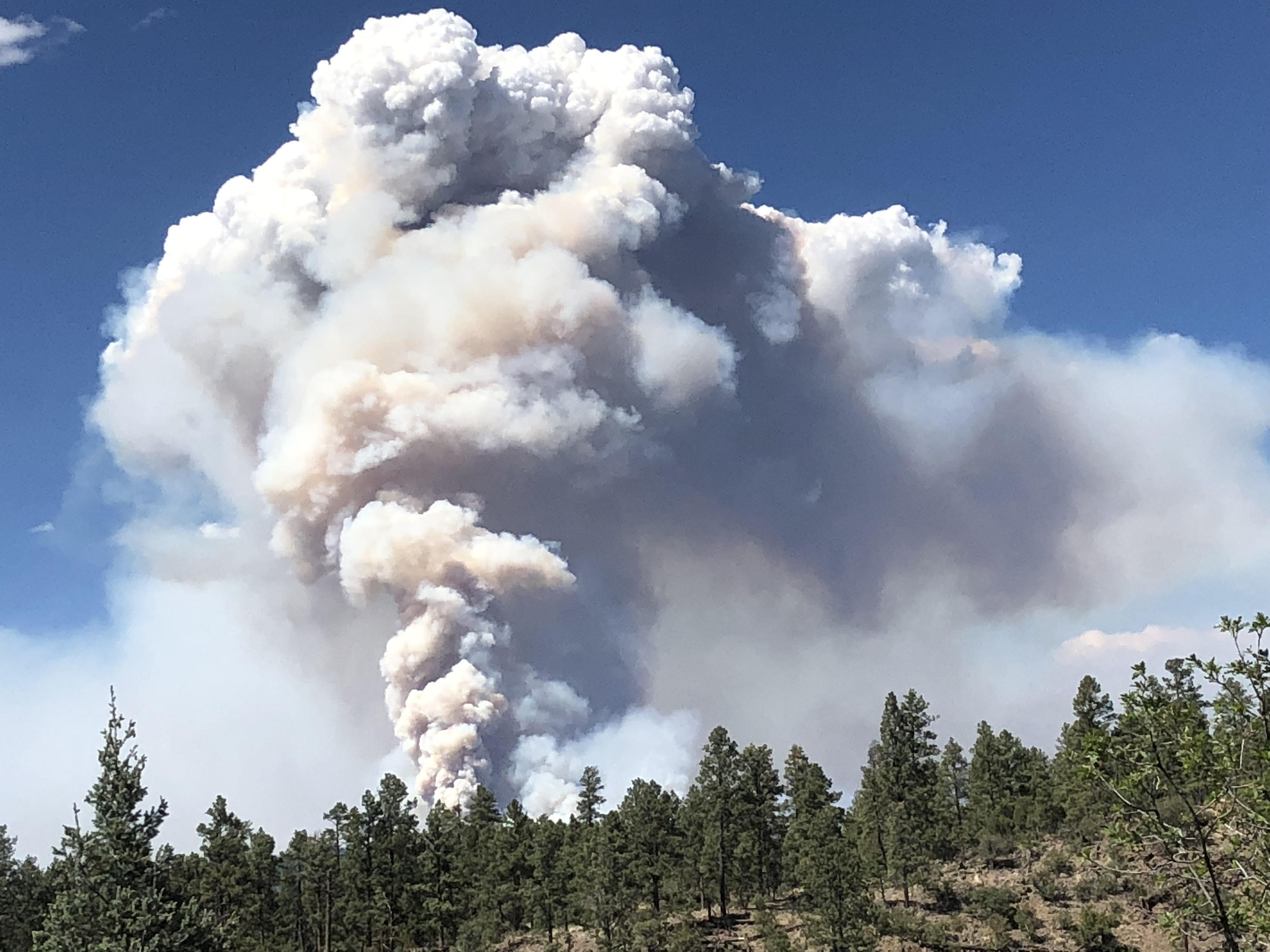 Buzzard Fire NM r/pics