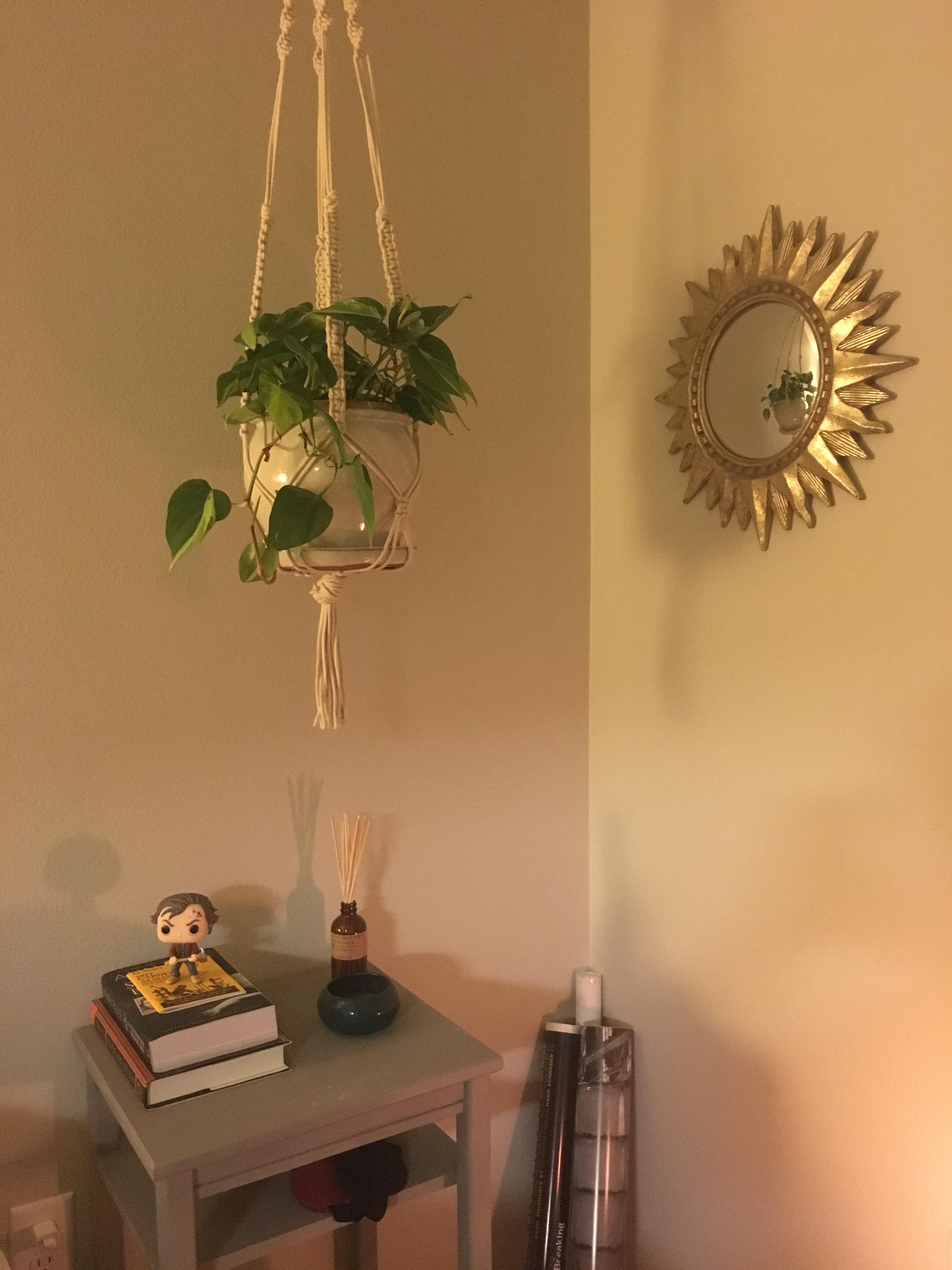 What plant should I put in this corner?