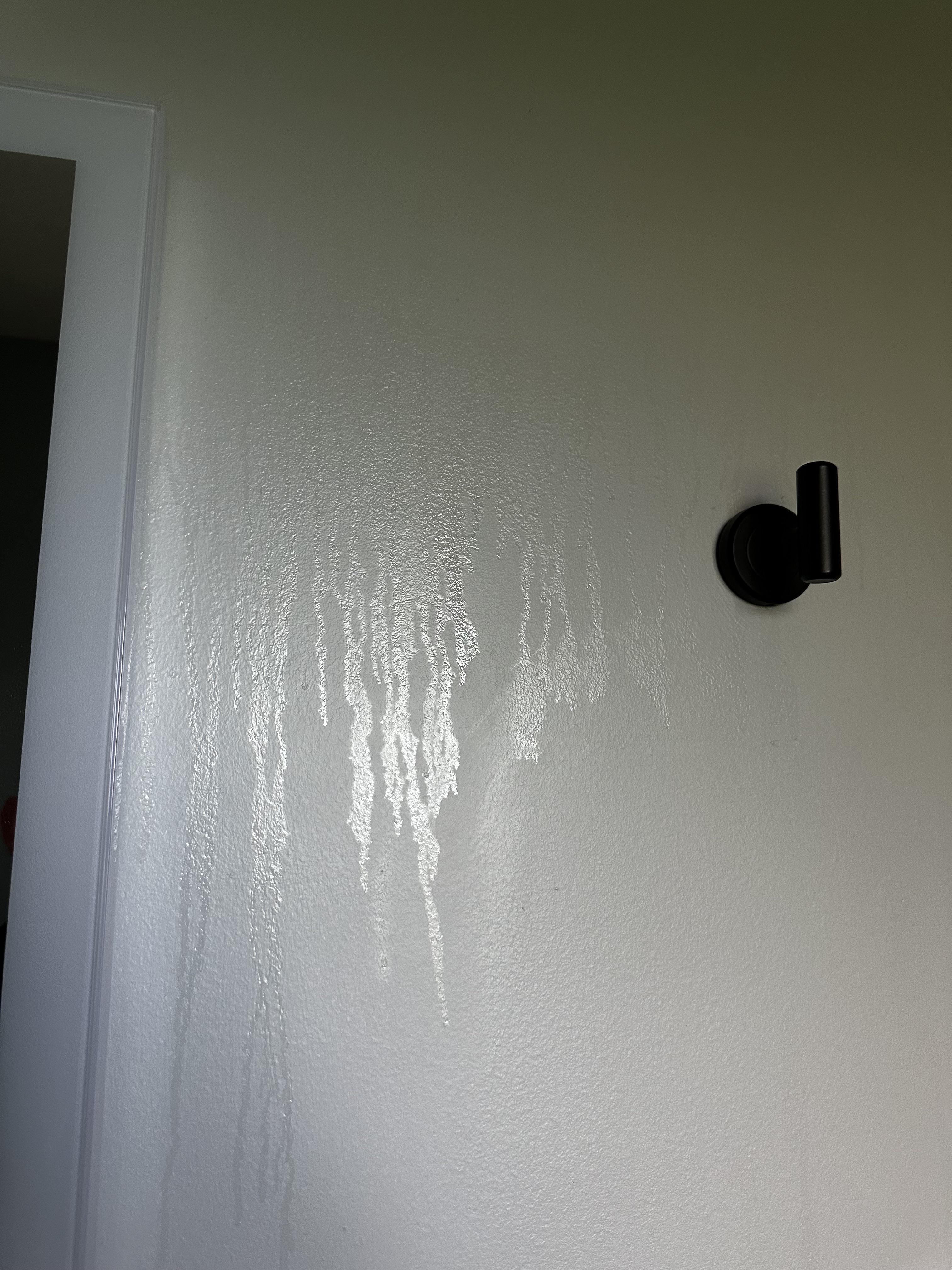 Why does it look like my walls are sweating? r/paint