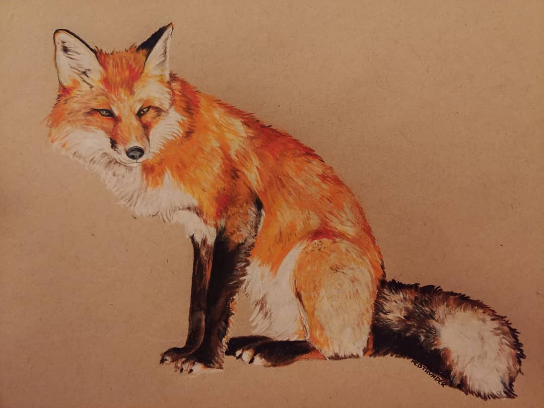 [Fox] Colored Pencil on 9"x 12" r/Art