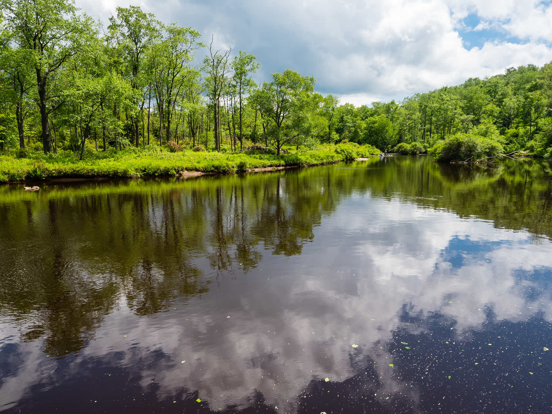 The Blackwater River near Davis West Virginia [OC][1920x1440] r/EarthPorn