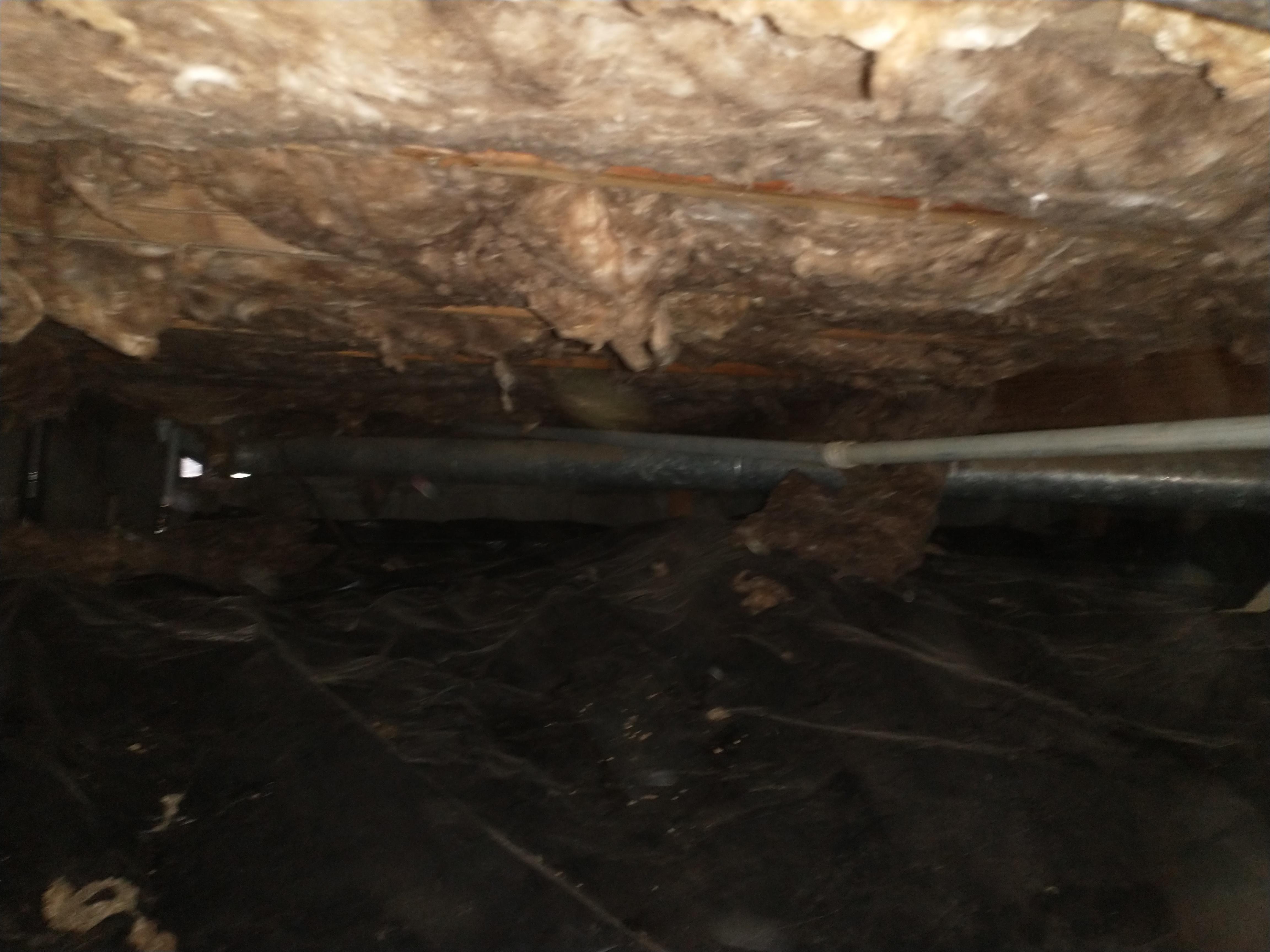 long run of pipe with no supports and has been knocking, fix it myself