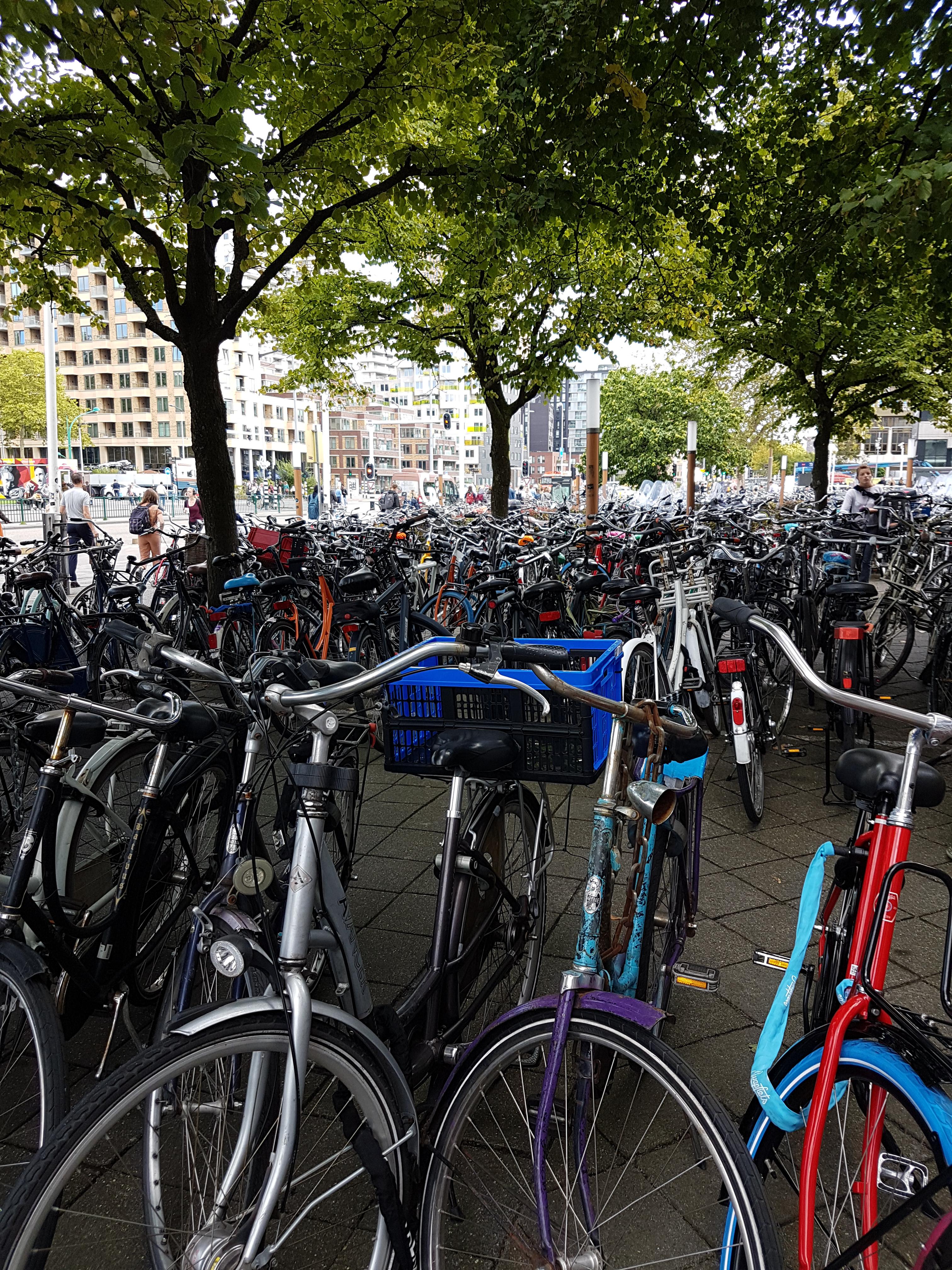 The backpedal brake on my new bike will be the death of me, but I'm