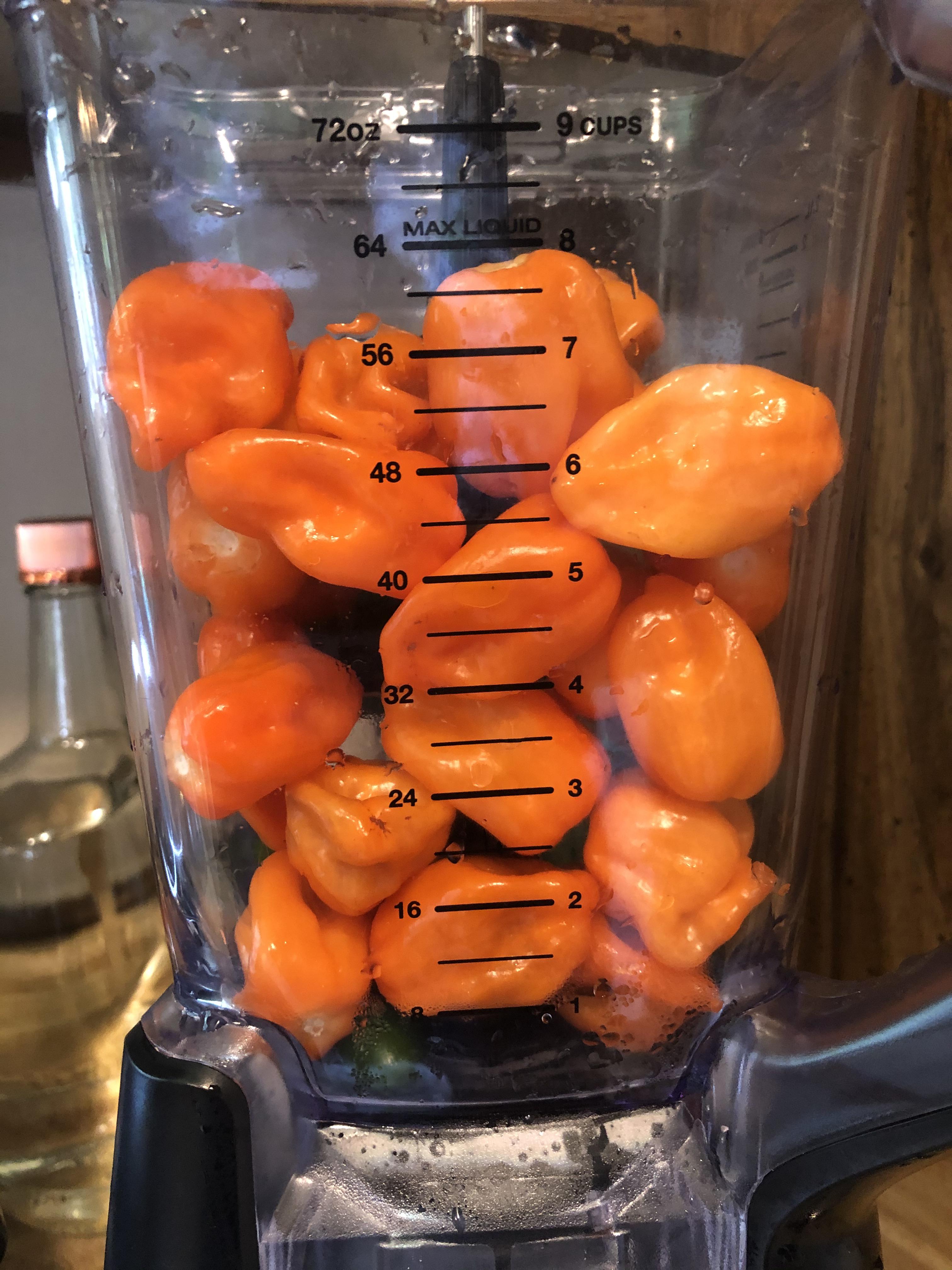 Is hot sauce allowed here? r/SalsaSnobs