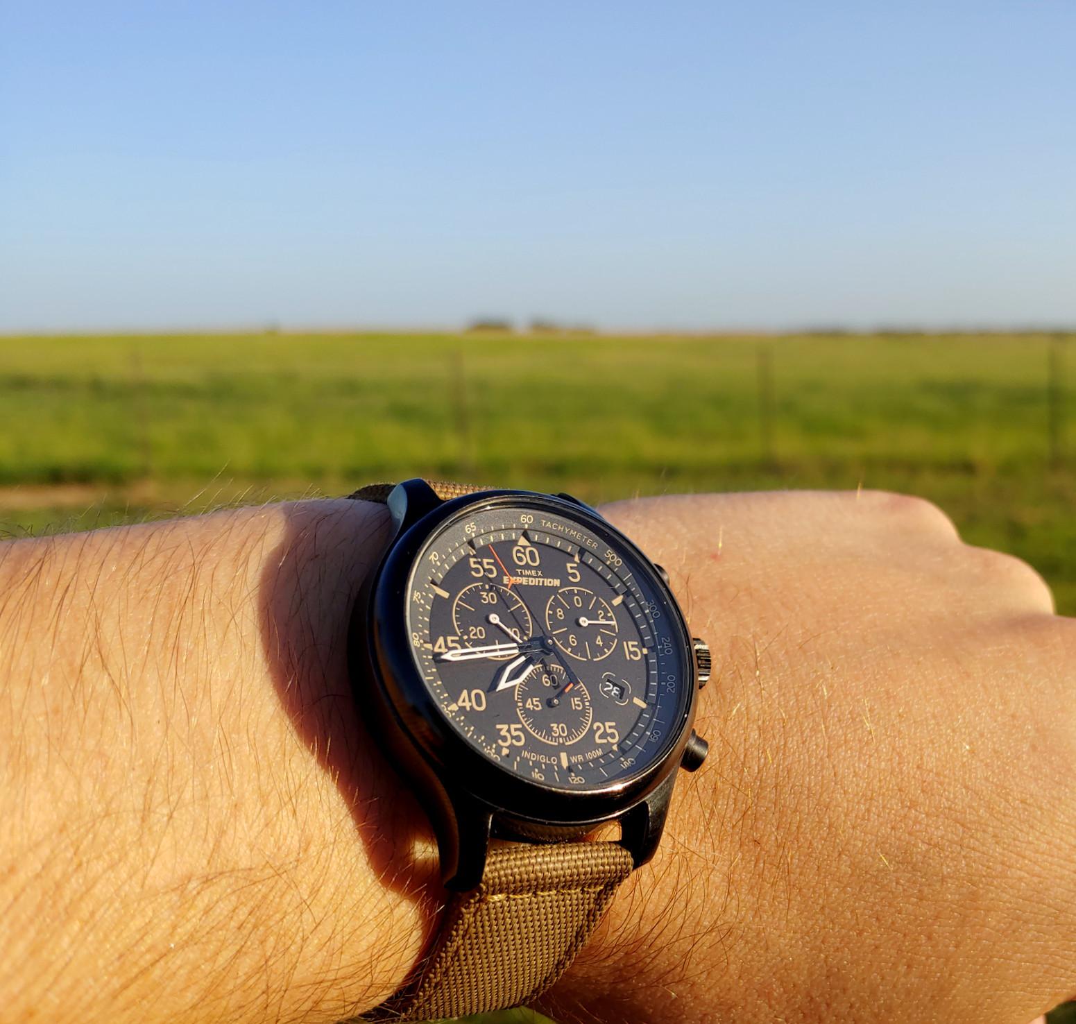 [Timex] Out doing Expedition things. What's your beater watch? r/Watches