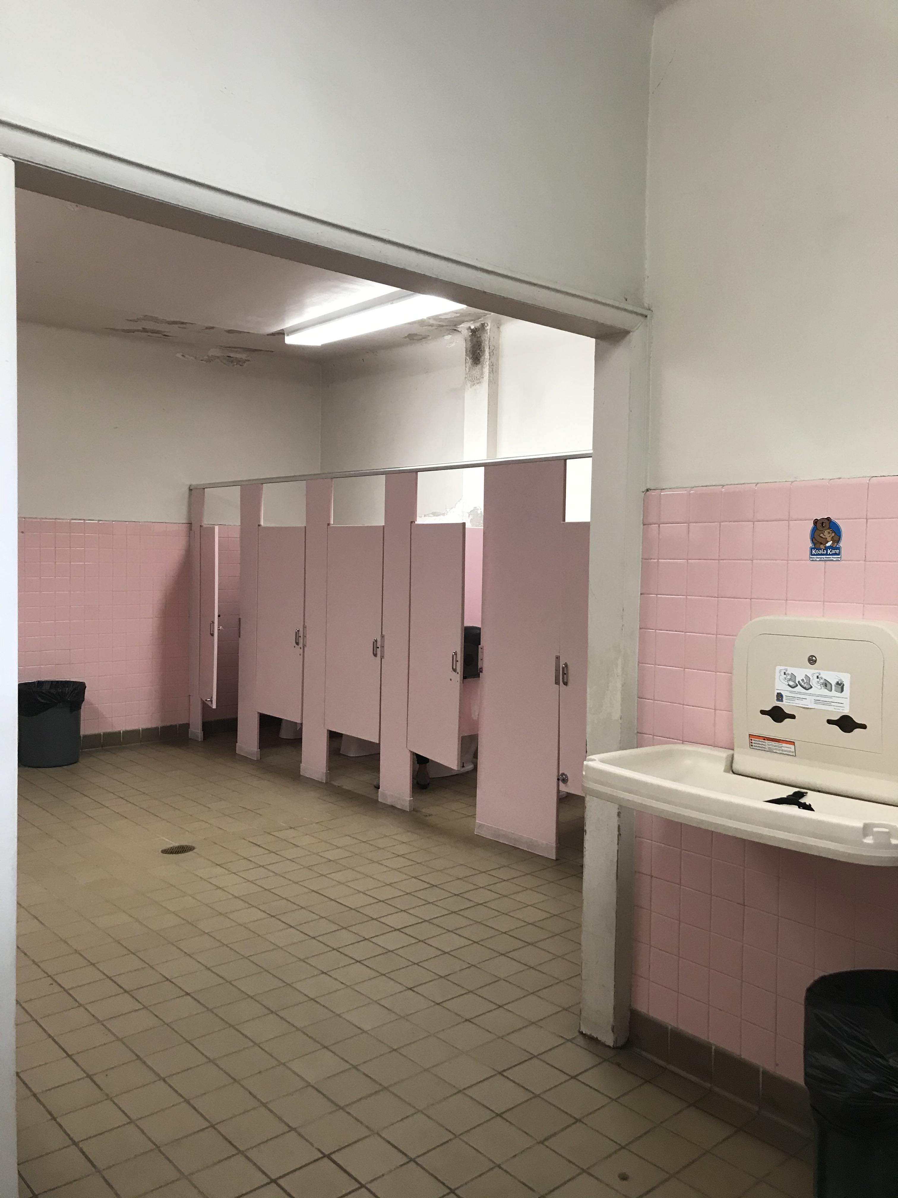 Bronx Zoo Bathroom r/AccidentalWesAnderson