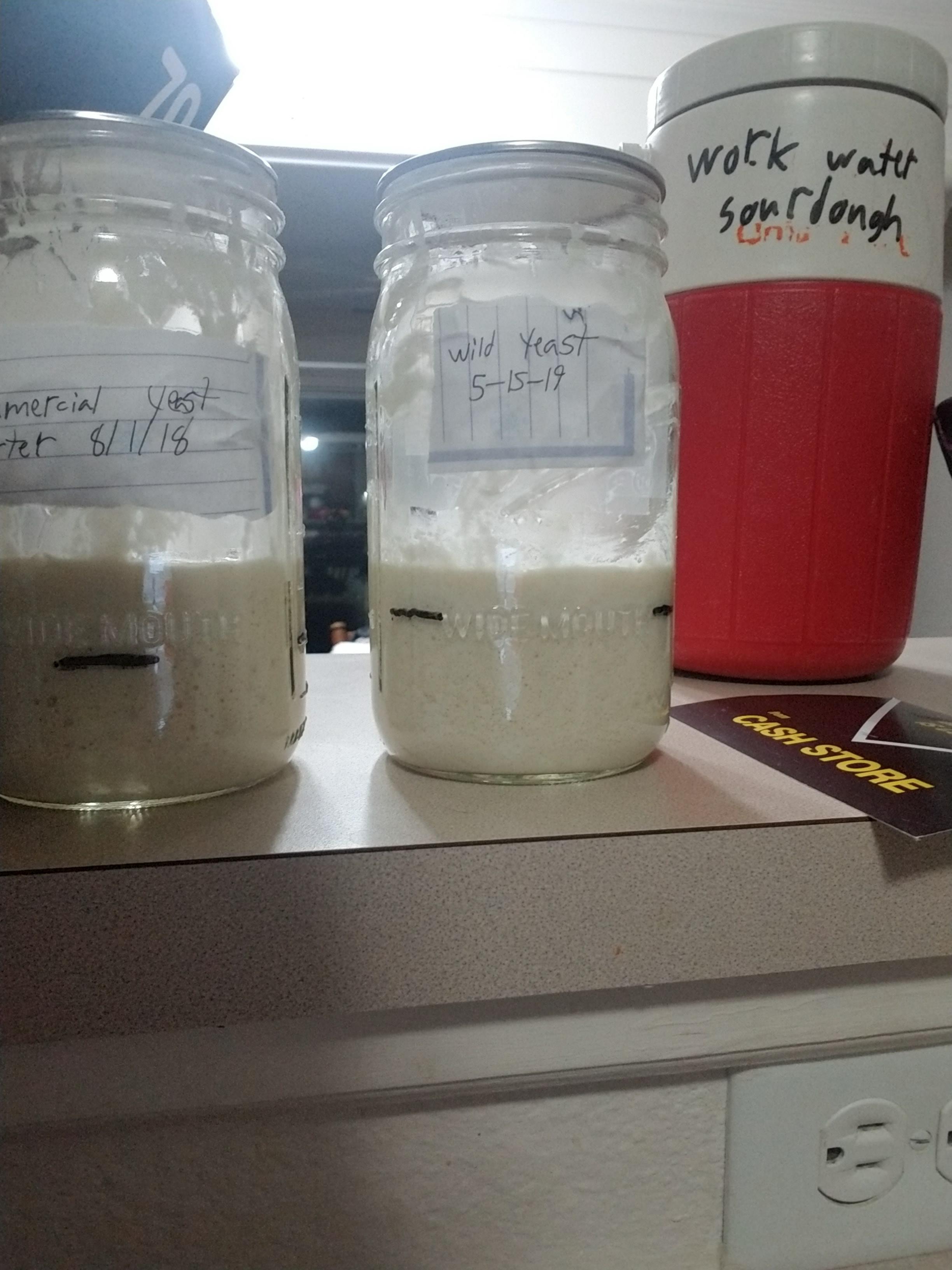 Started a wild yeast starter for the first time (right). I can already