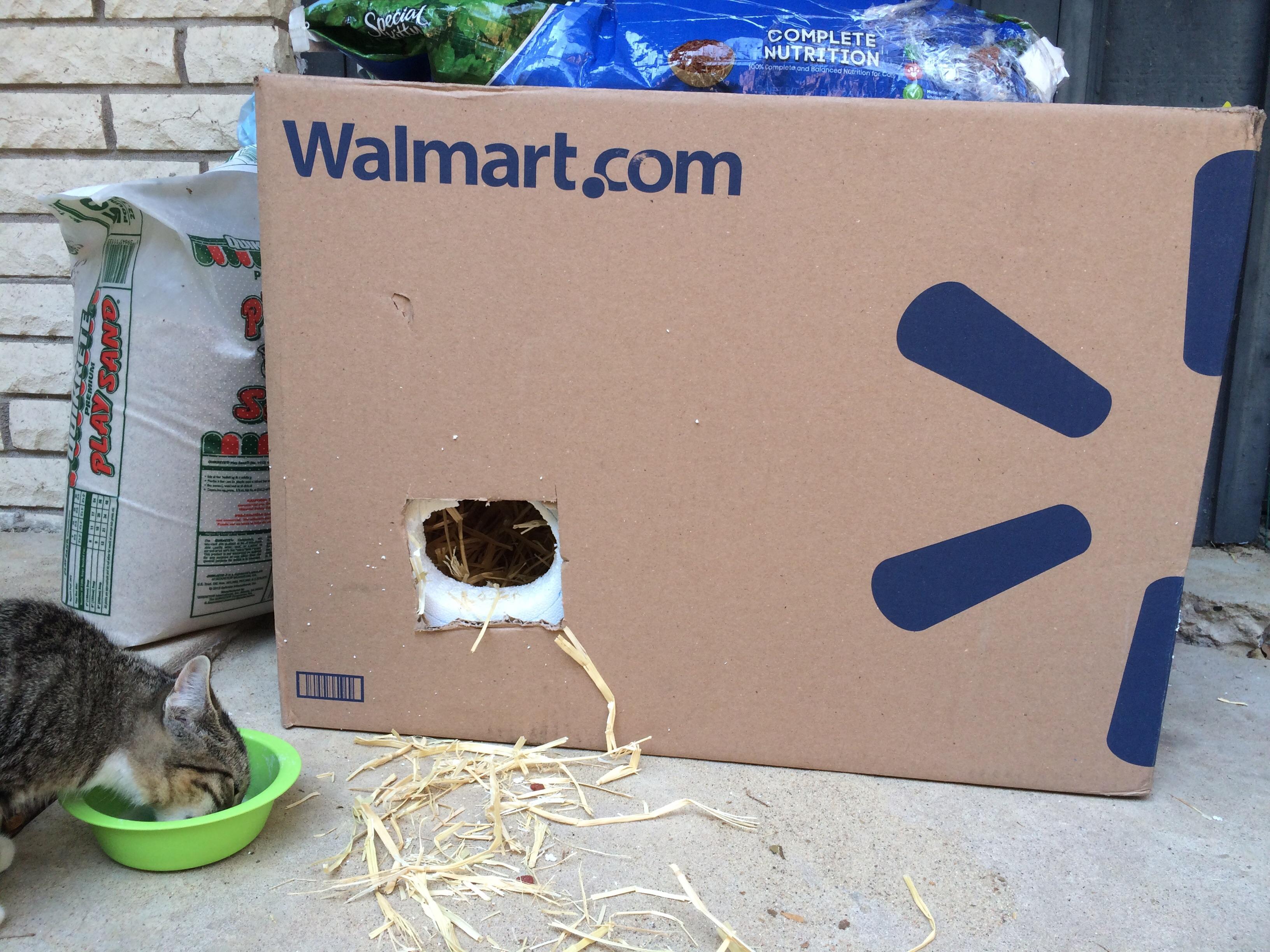 Cat shelter is built! Styrofoam in cardboard. Straw in styrofoam. Two