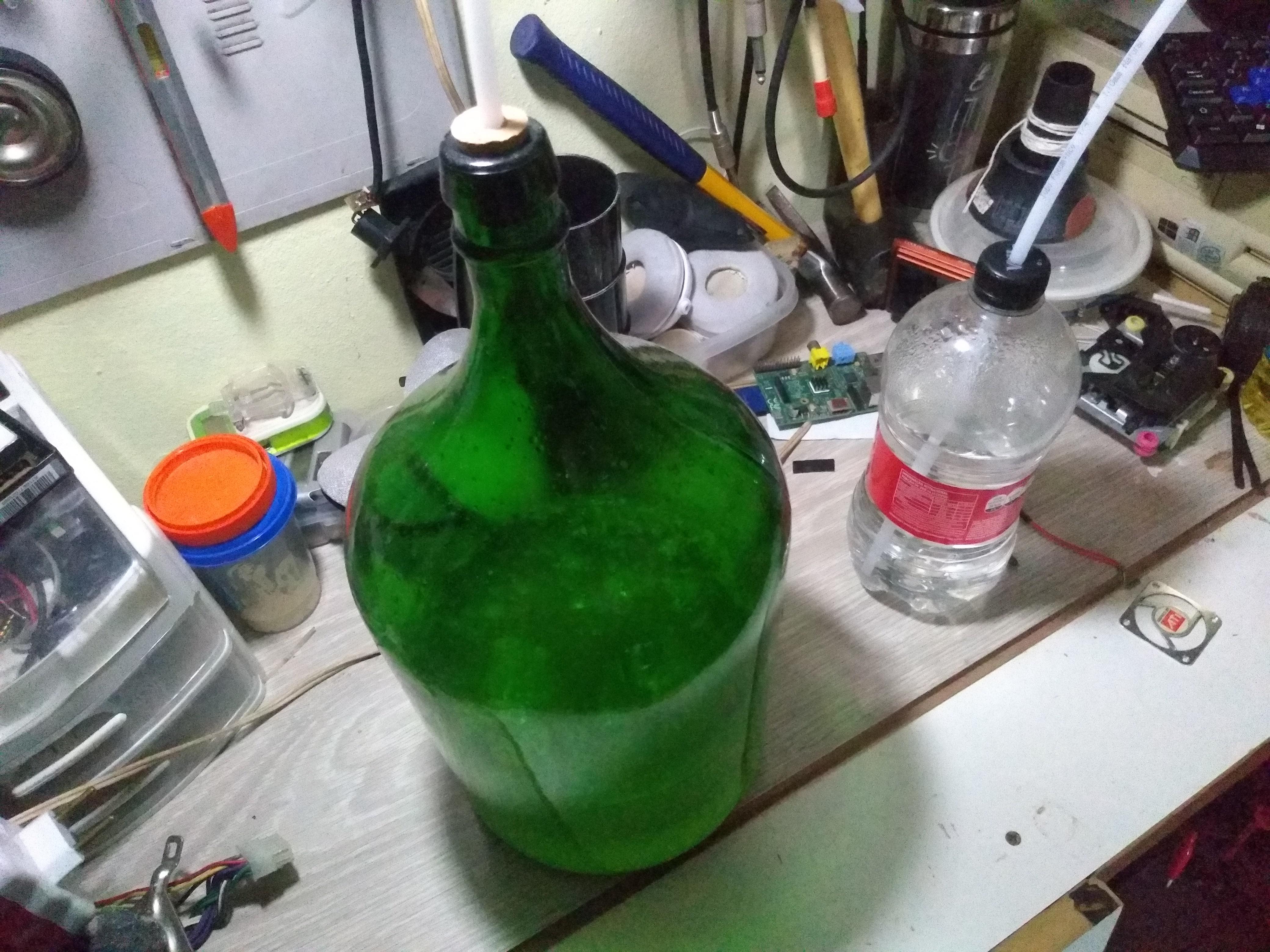 First time fermenting ginger r/fermentation