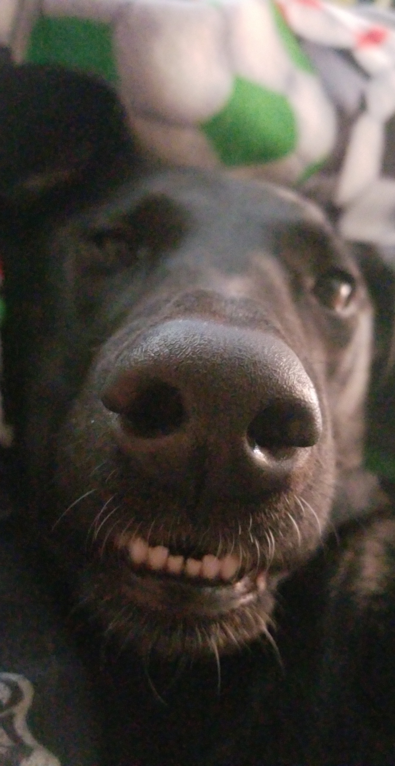 Sleeping with Eyes Open and Toofers Out r/toofers