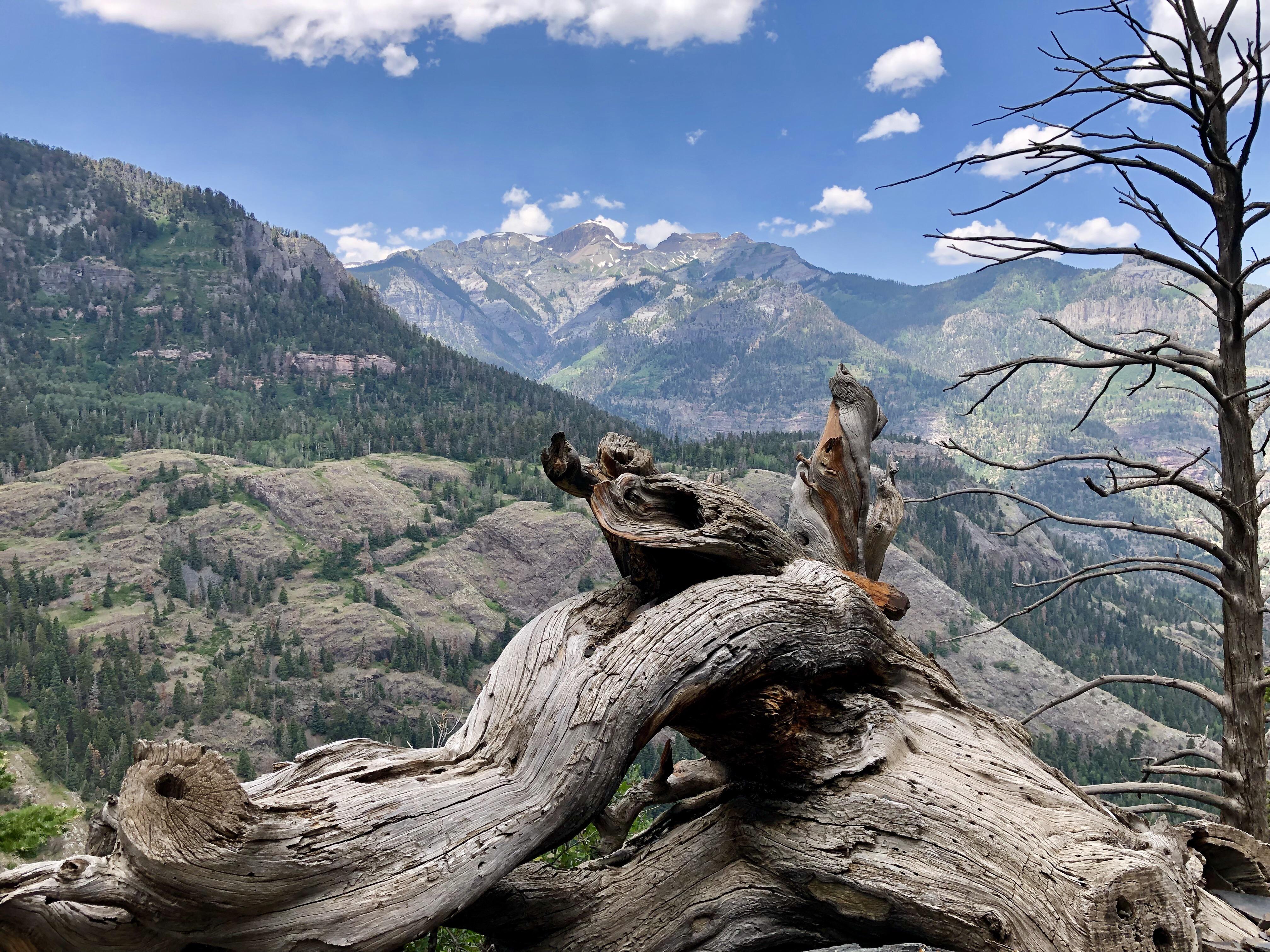 Bear Creek Trail Ouray Colorado [OC] 4032x3024 r/EarthPorn