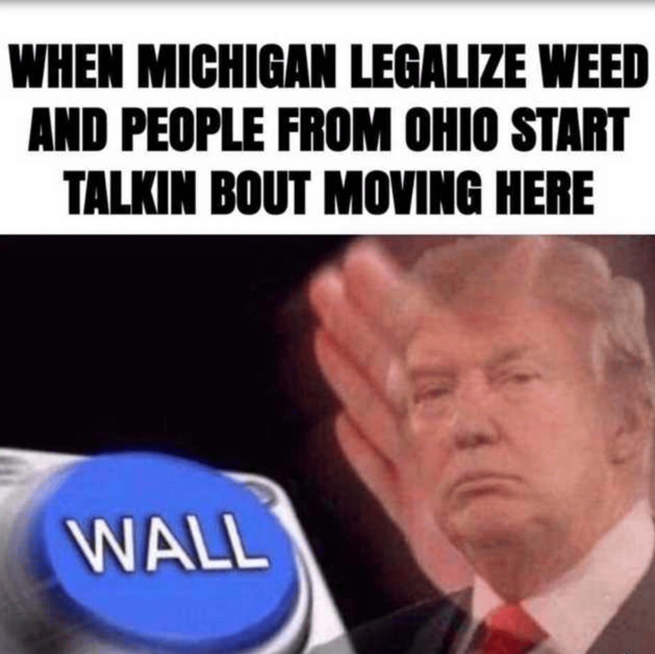 It will be a beautiful wall. memes