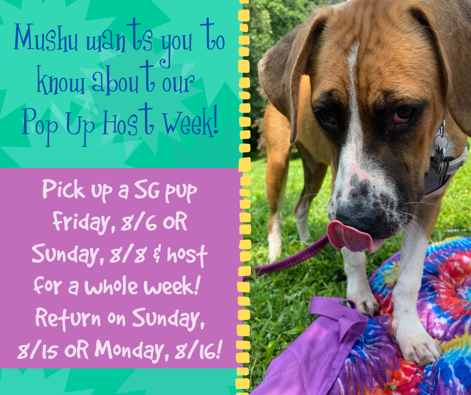 Farewell, Golden Pig, hello, Seoul Garden cary