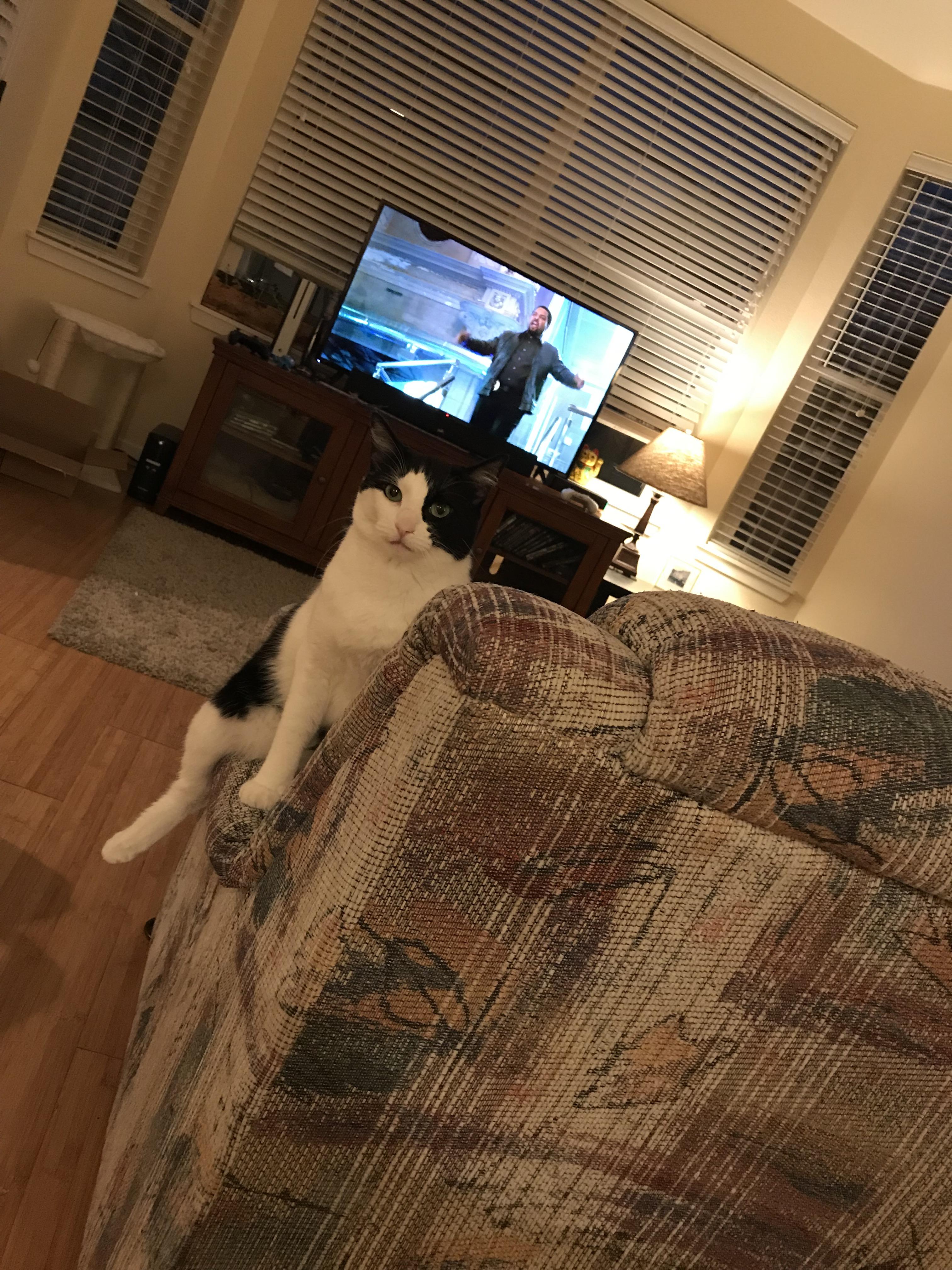Look over and she’s staring at me like this haha r/aww