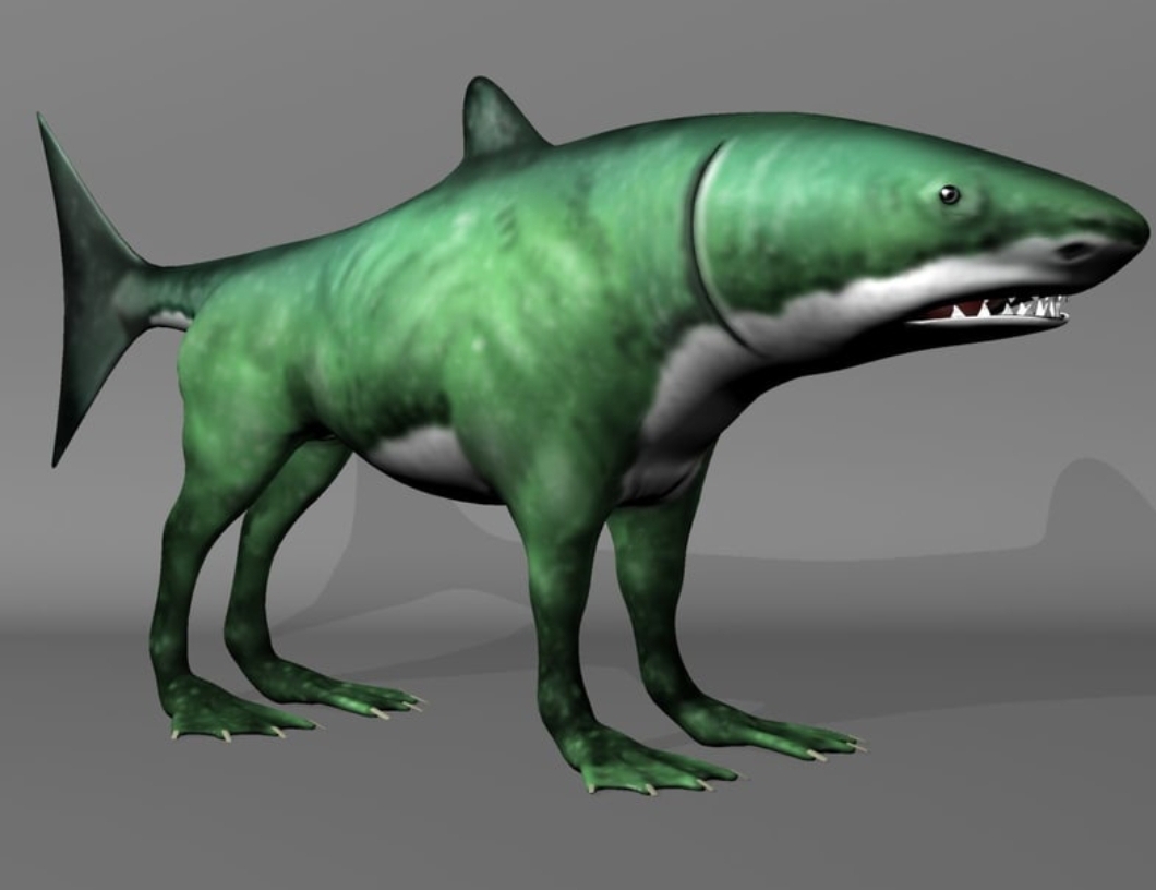 5 best u/big_pp_boy images on Pholder Cursed Birds