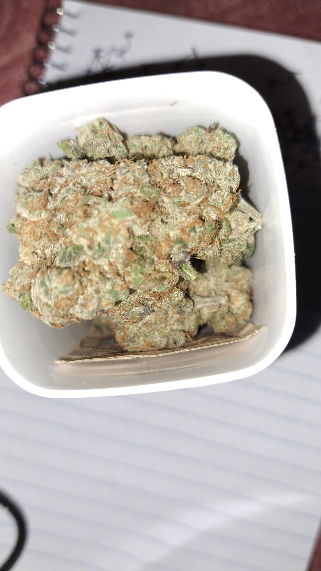 Platinum Animal Cookies from Gold Leaf... they setting a standard for