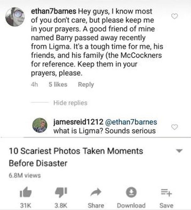 5312 best Pranks images on Pholder Madlads, Catpranks and History Memes