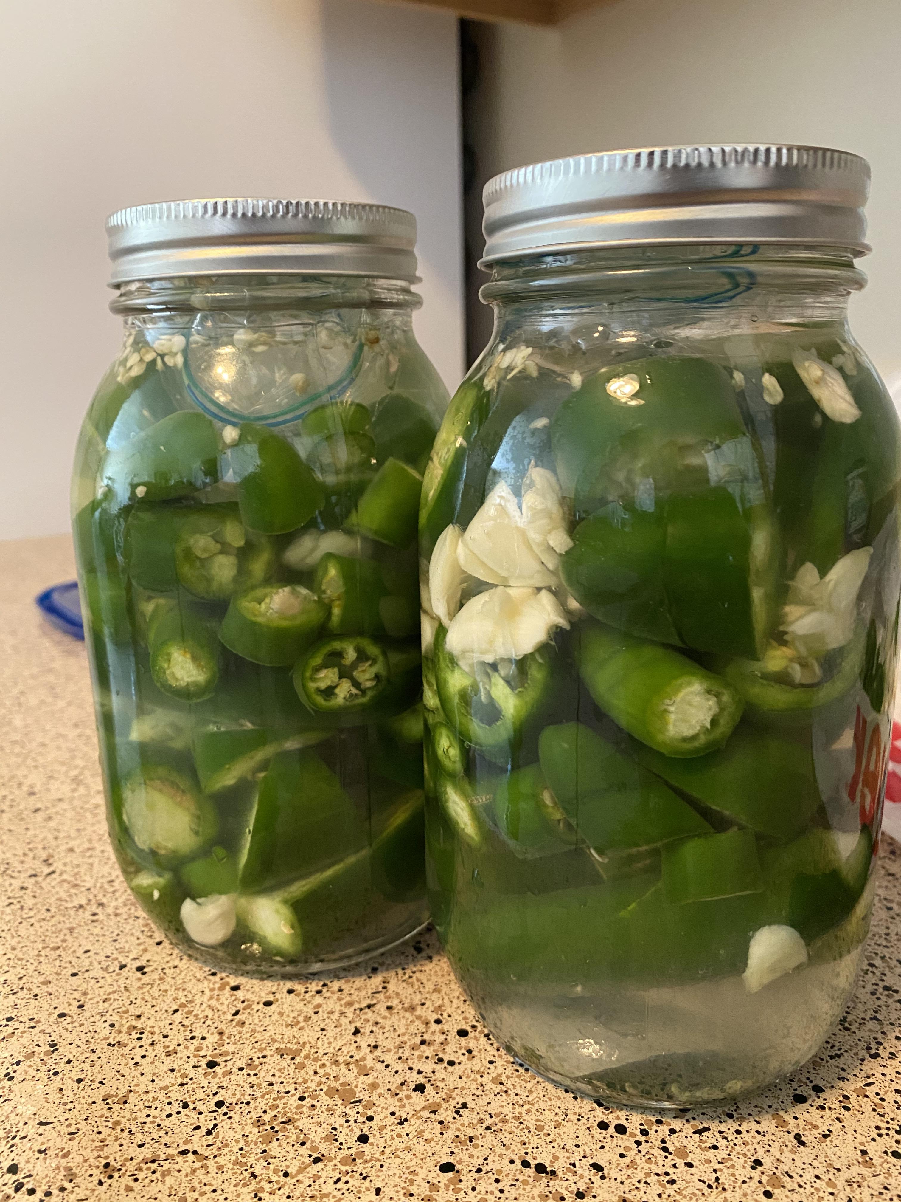 First time fermenting peppers for a hot sauce r/hotsauce